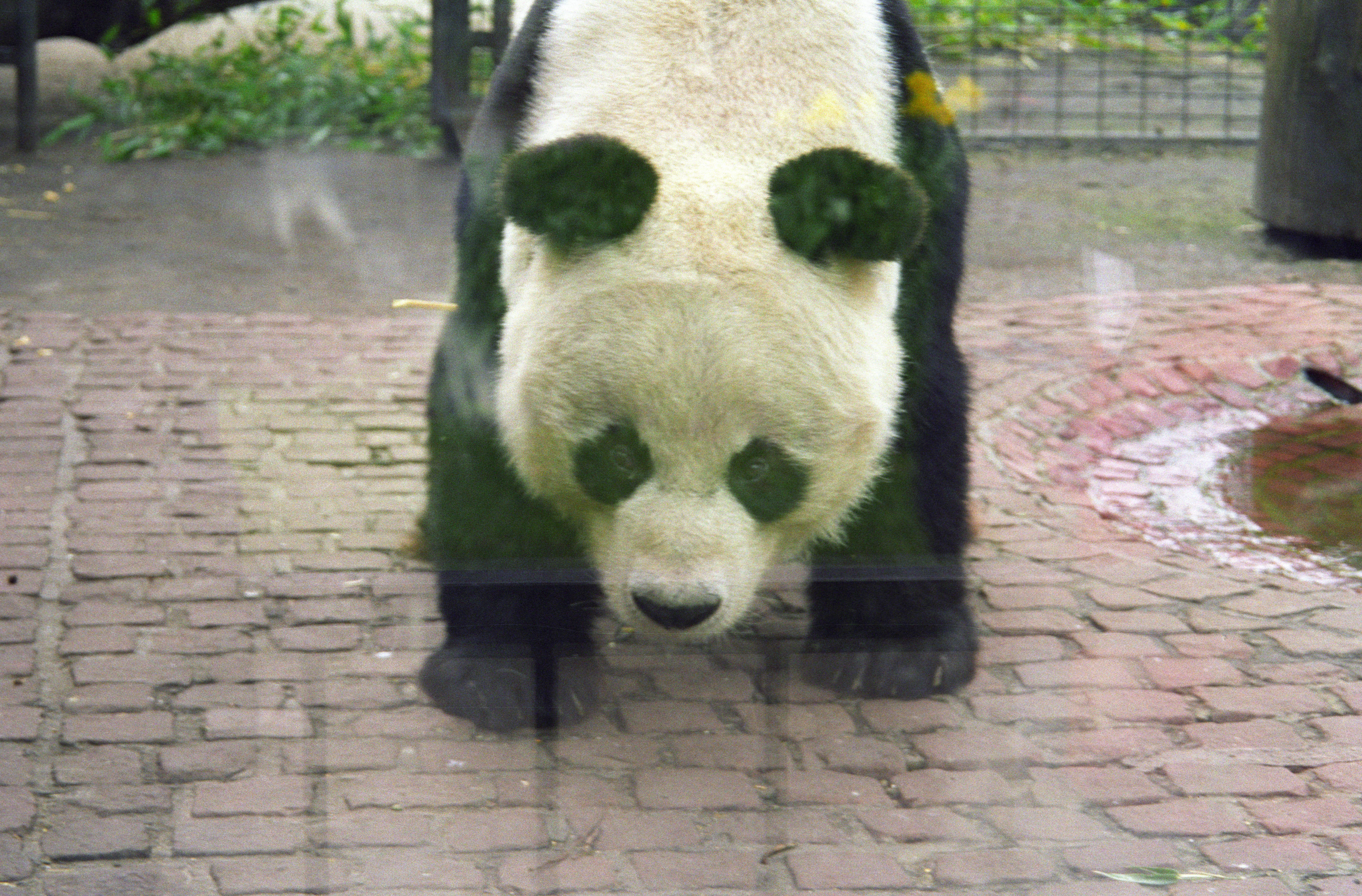 Zoo Berlin