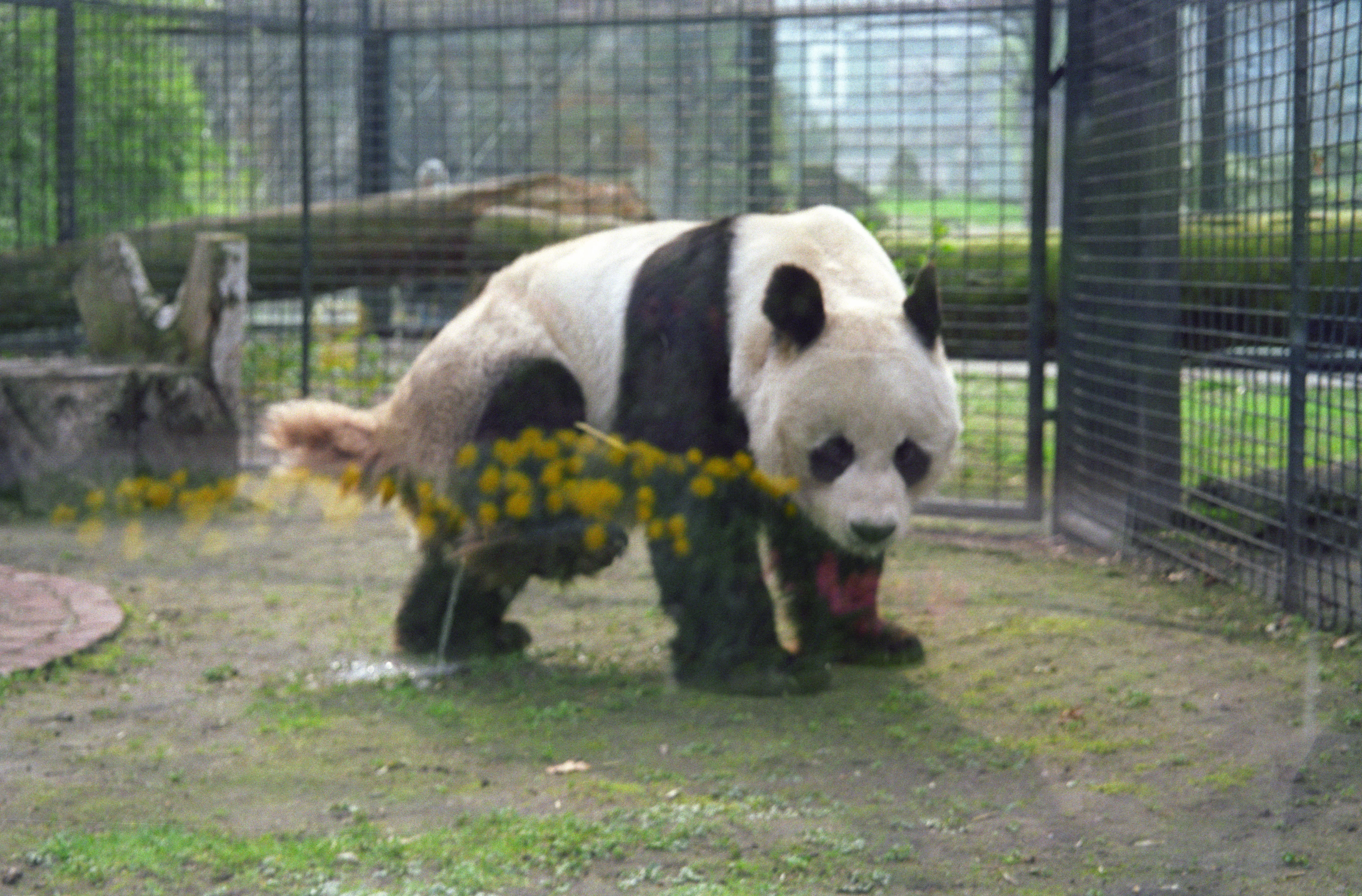 Zoo Berlin