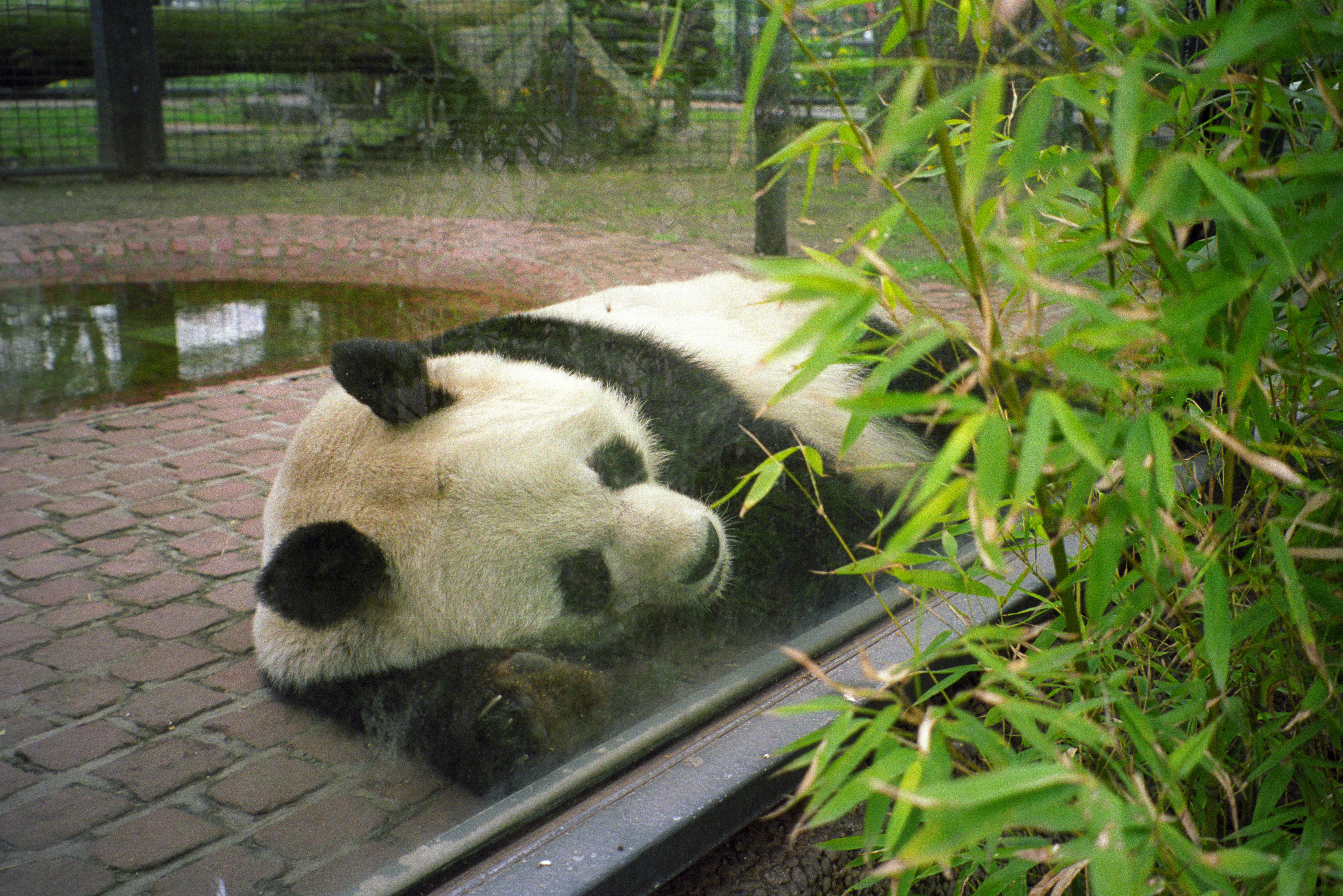 Zoo Berlin