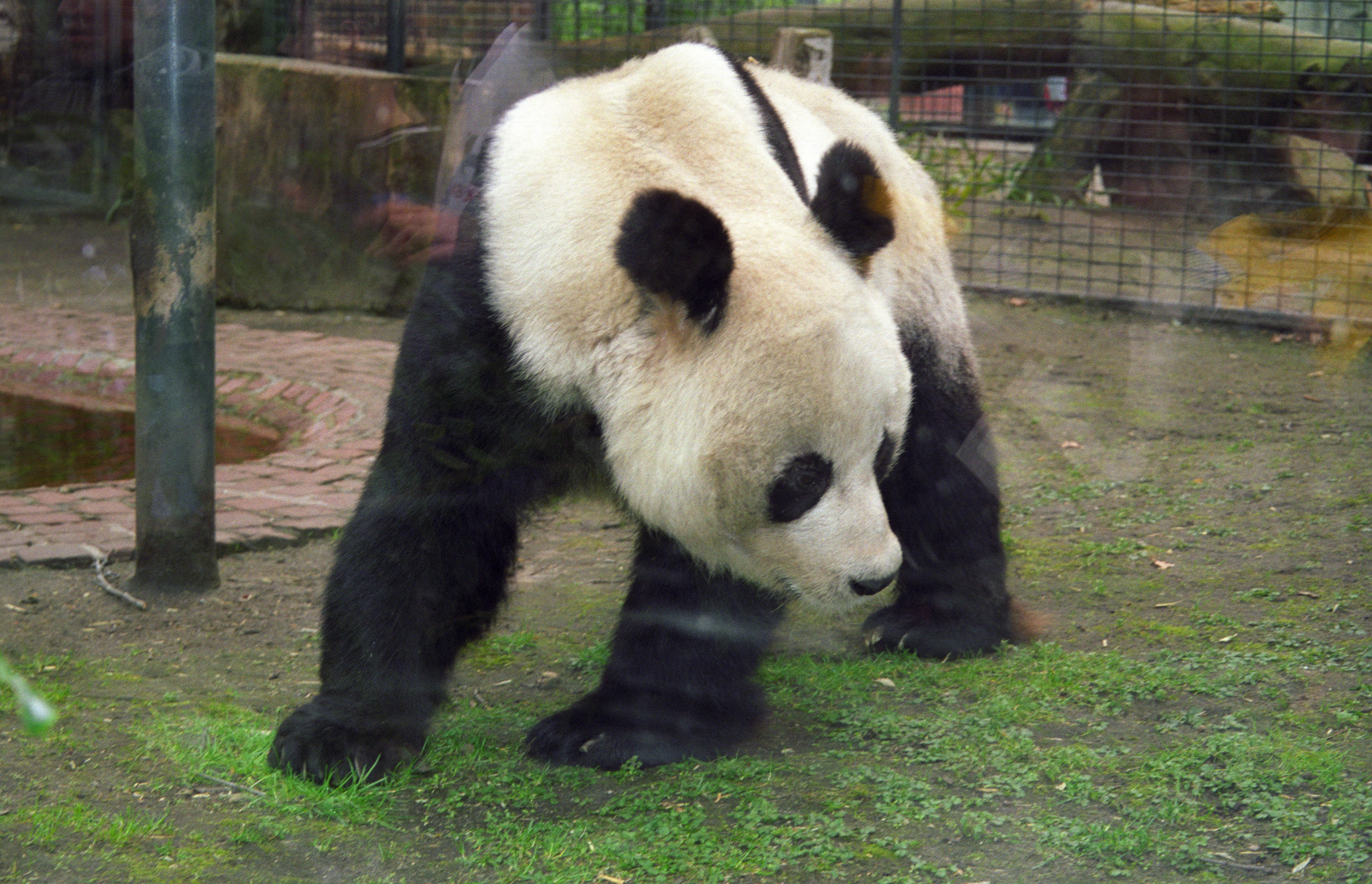 Zoo Berlin