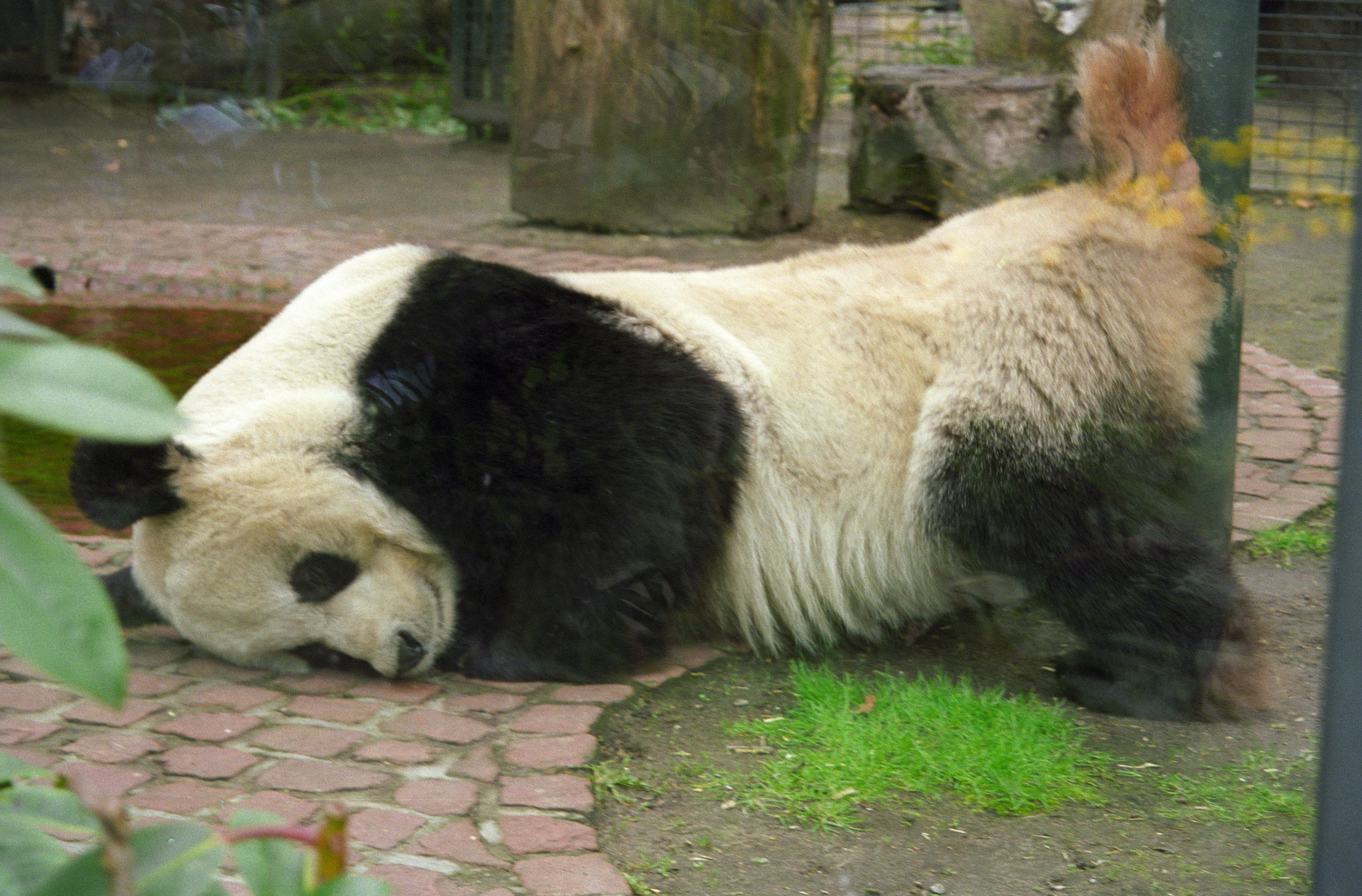 Zoo Berlin
