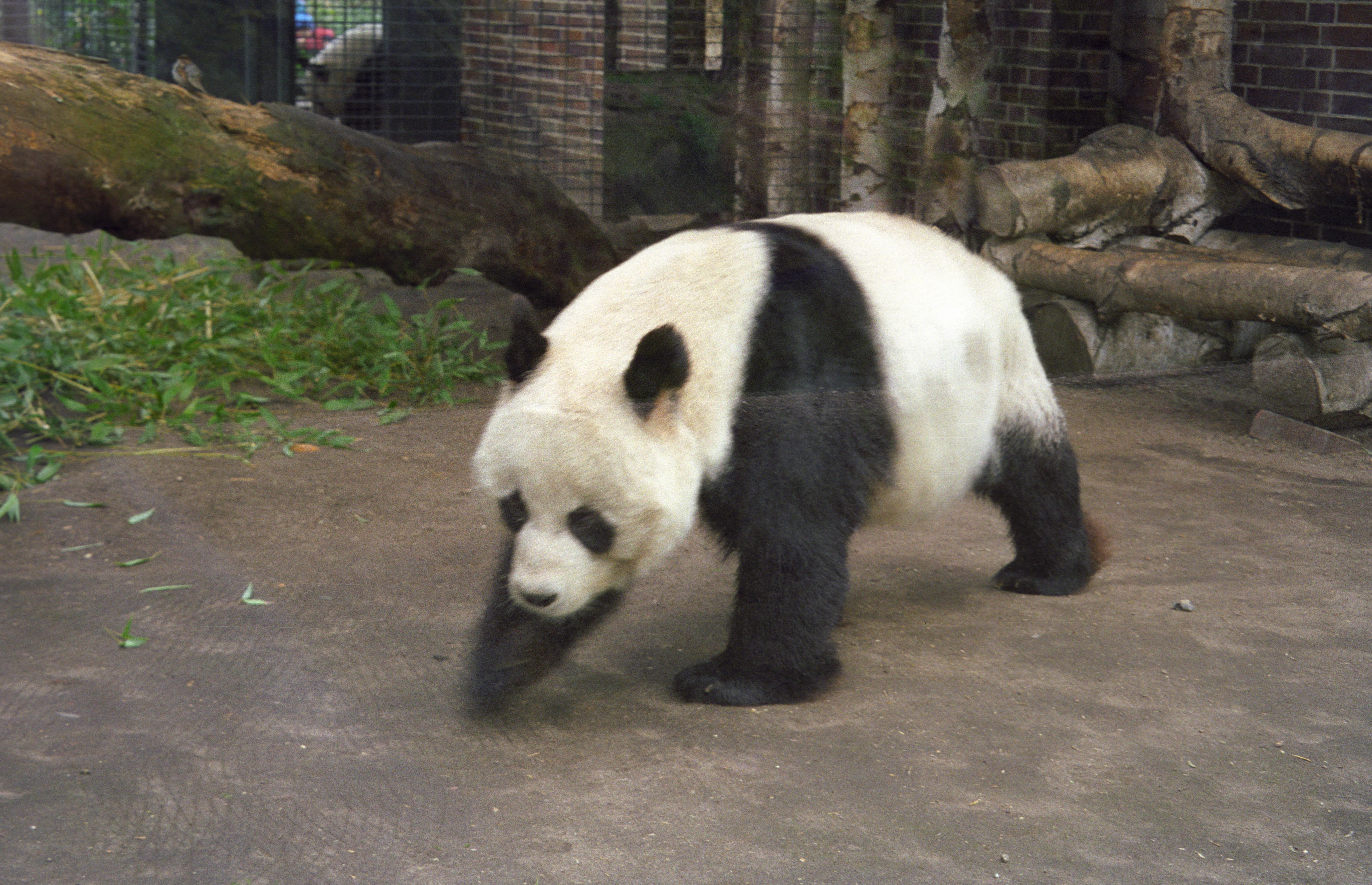 Zoo Berlin