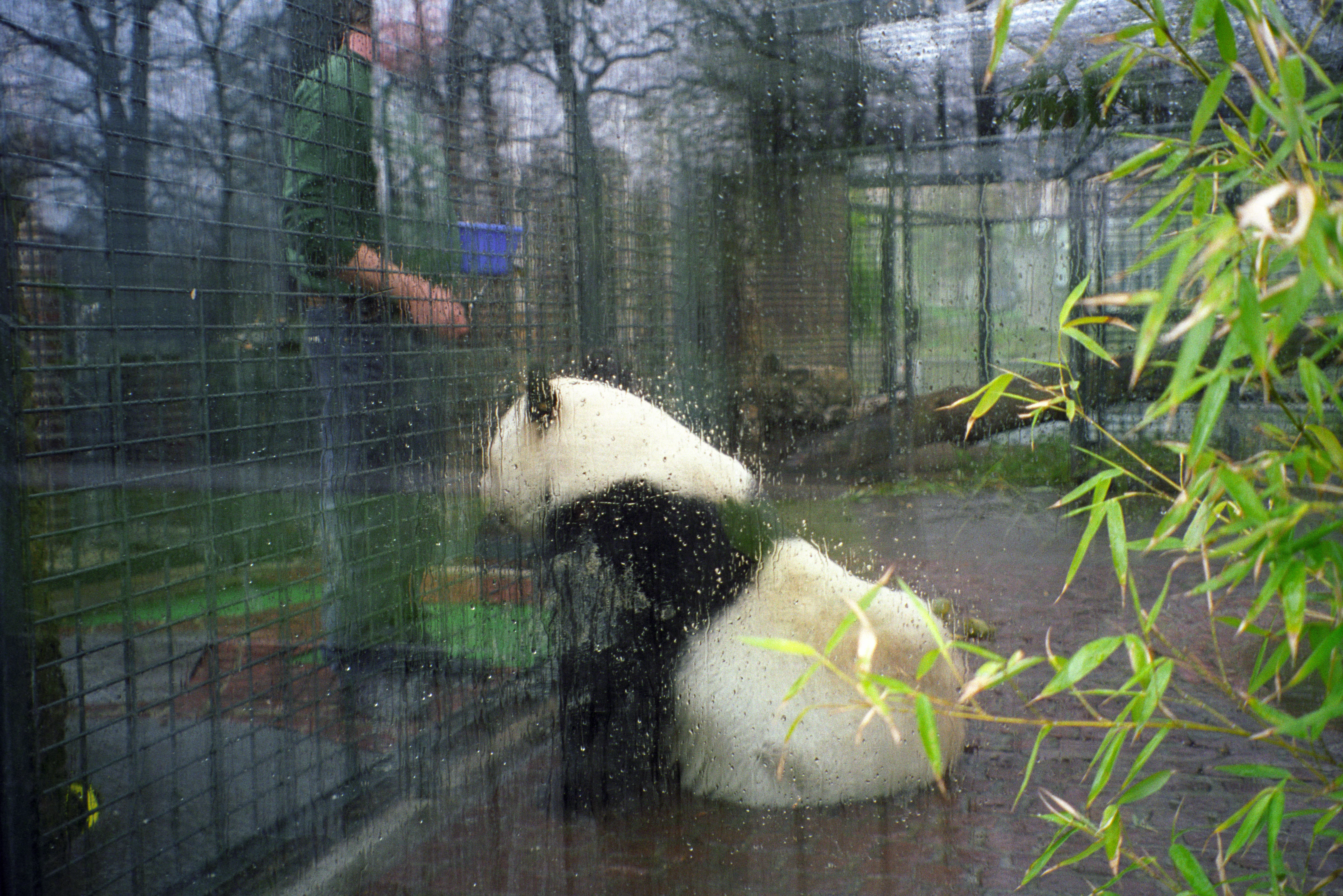 Zoo Berlin