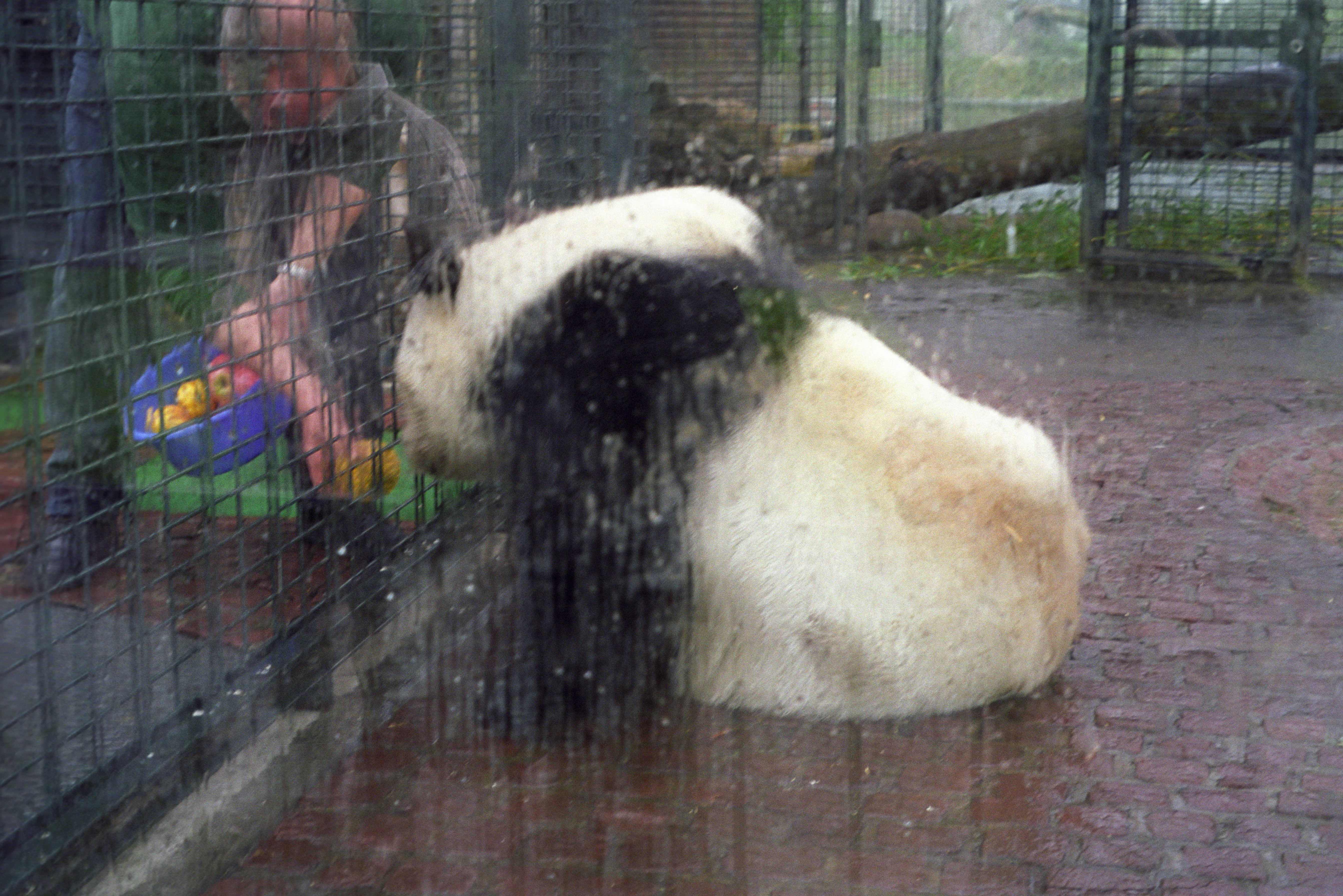 Zoo Berlin