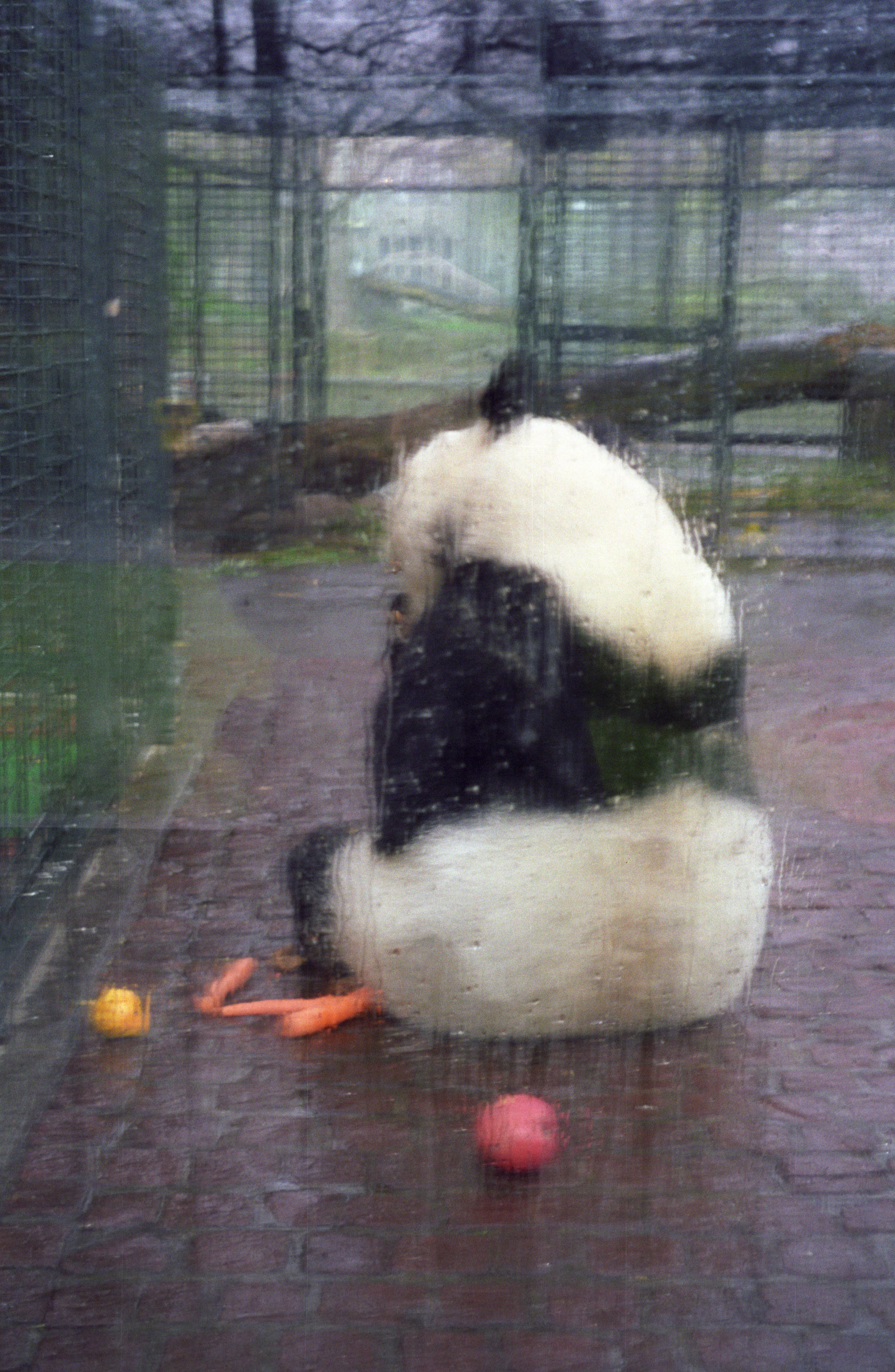 Zoo Berlin