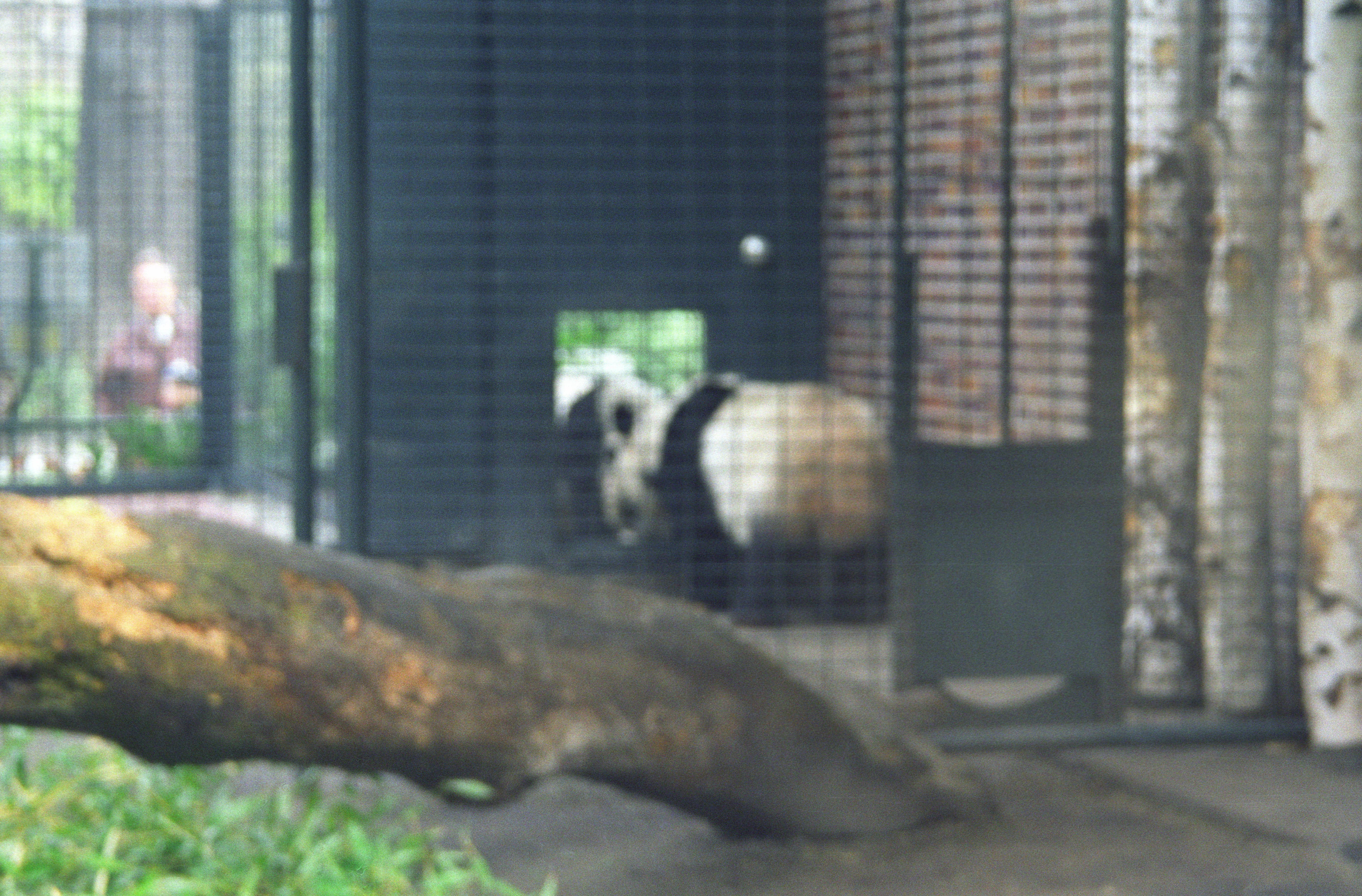 Zoo Berlin