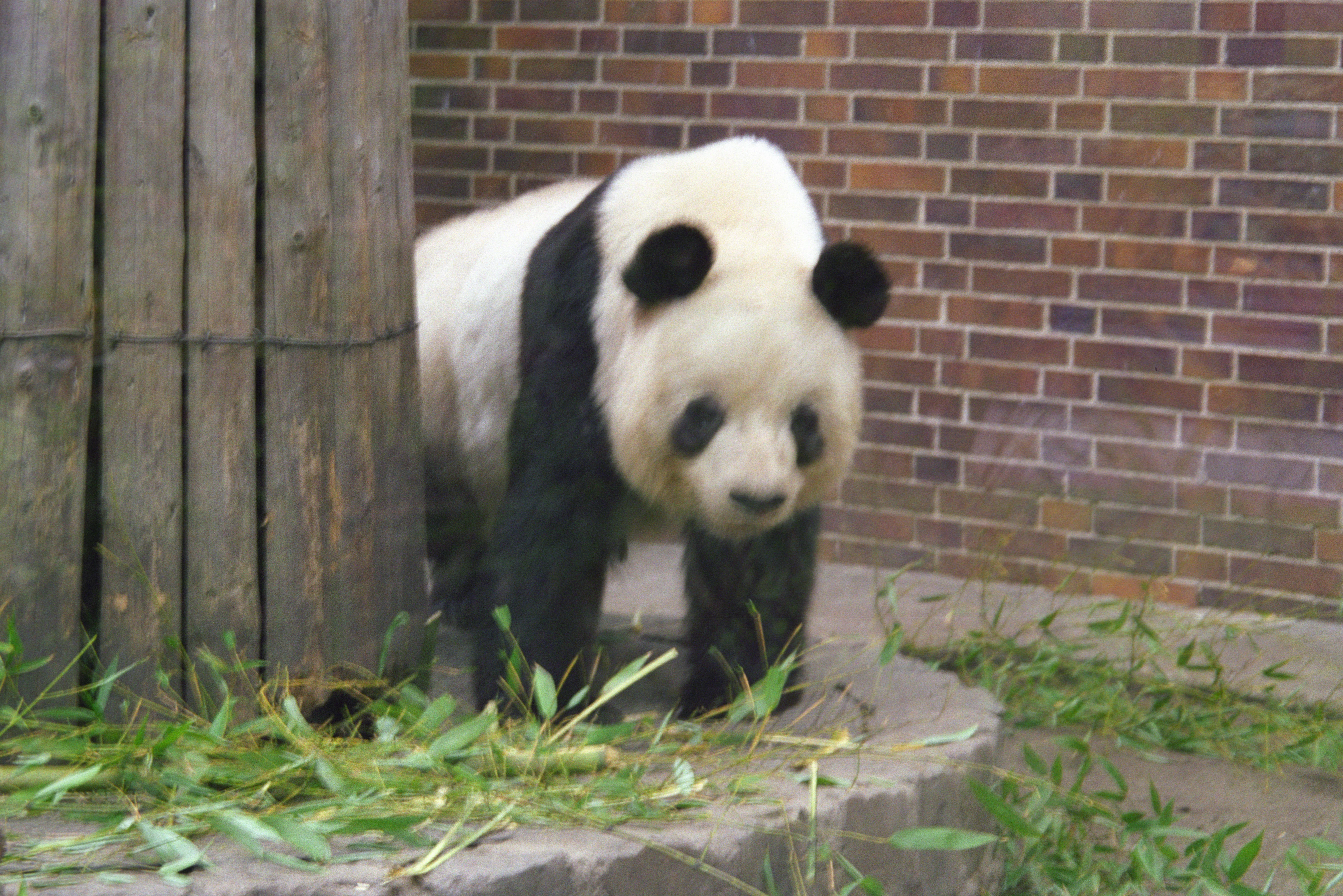Zoo Berlin