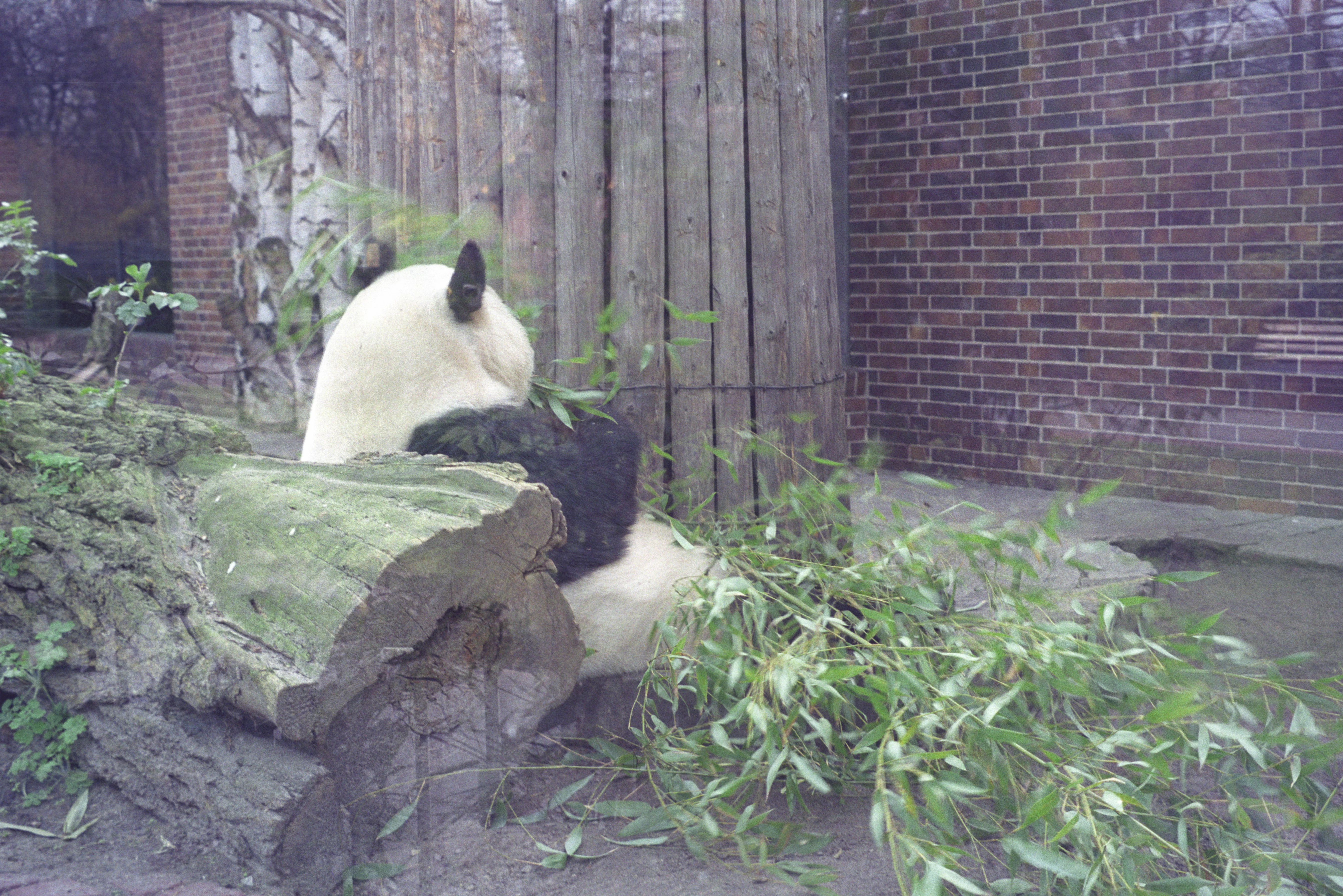 Zoo Berlin