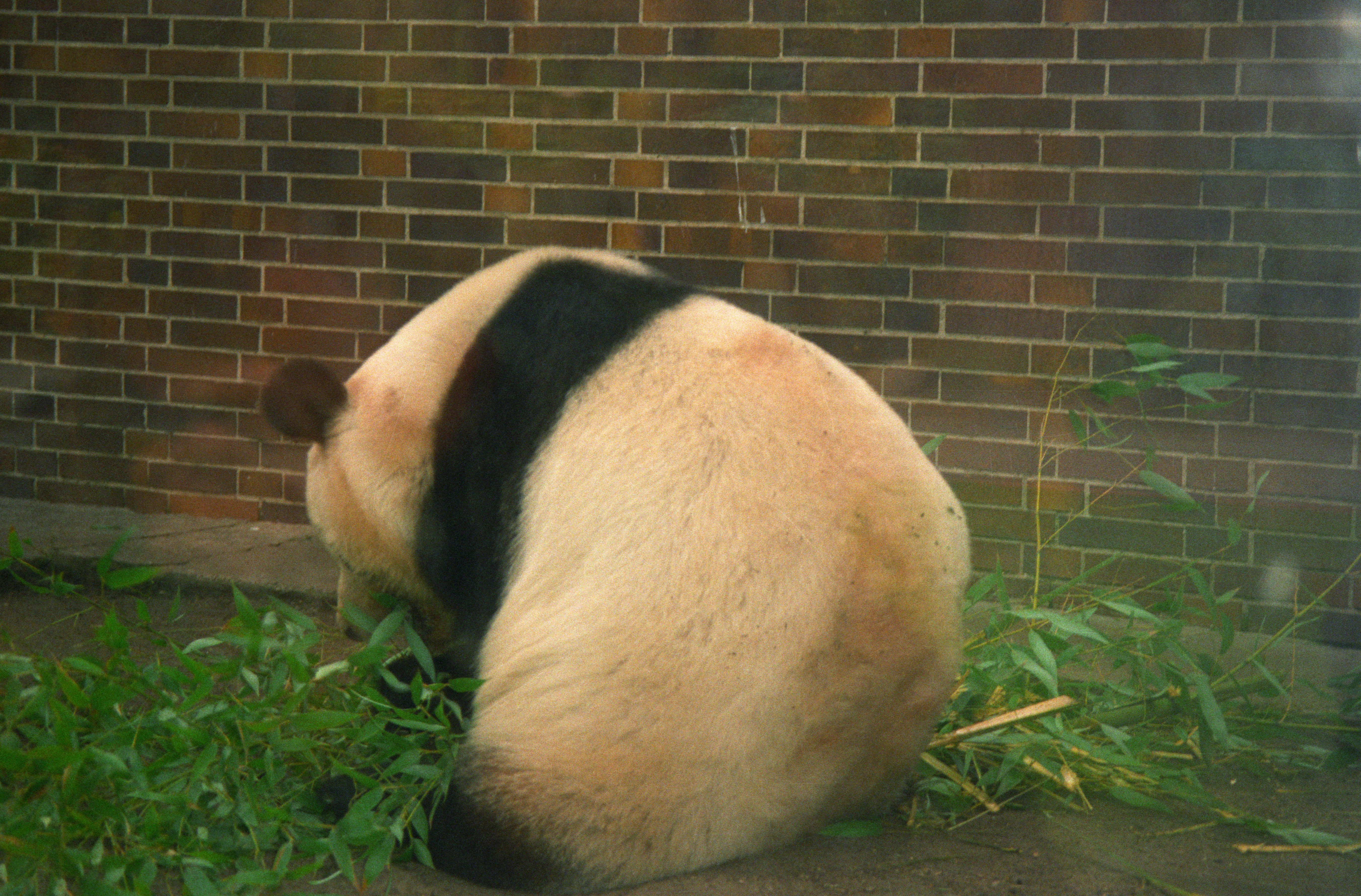 Zoo Berlin