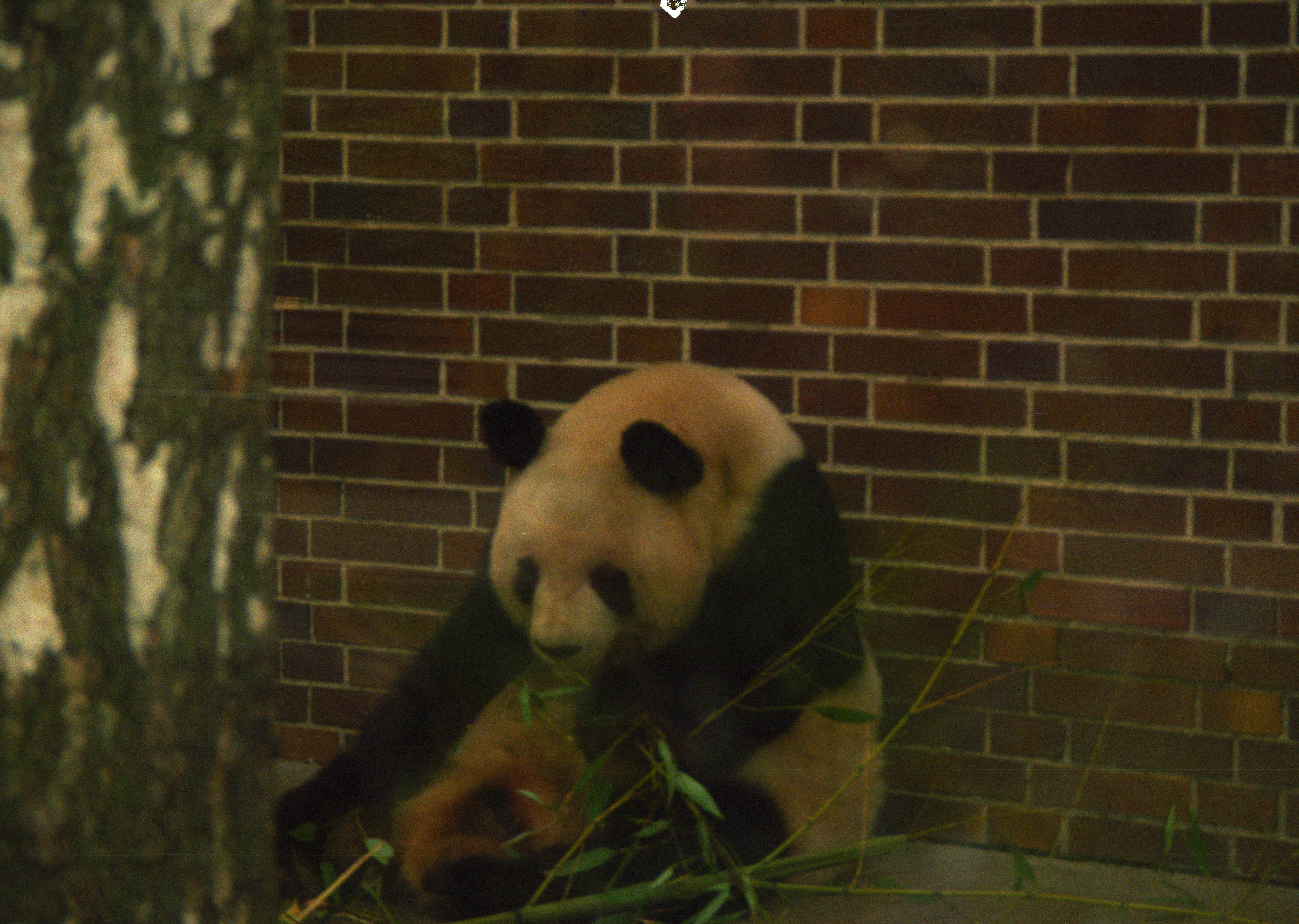 Zoo Berlin