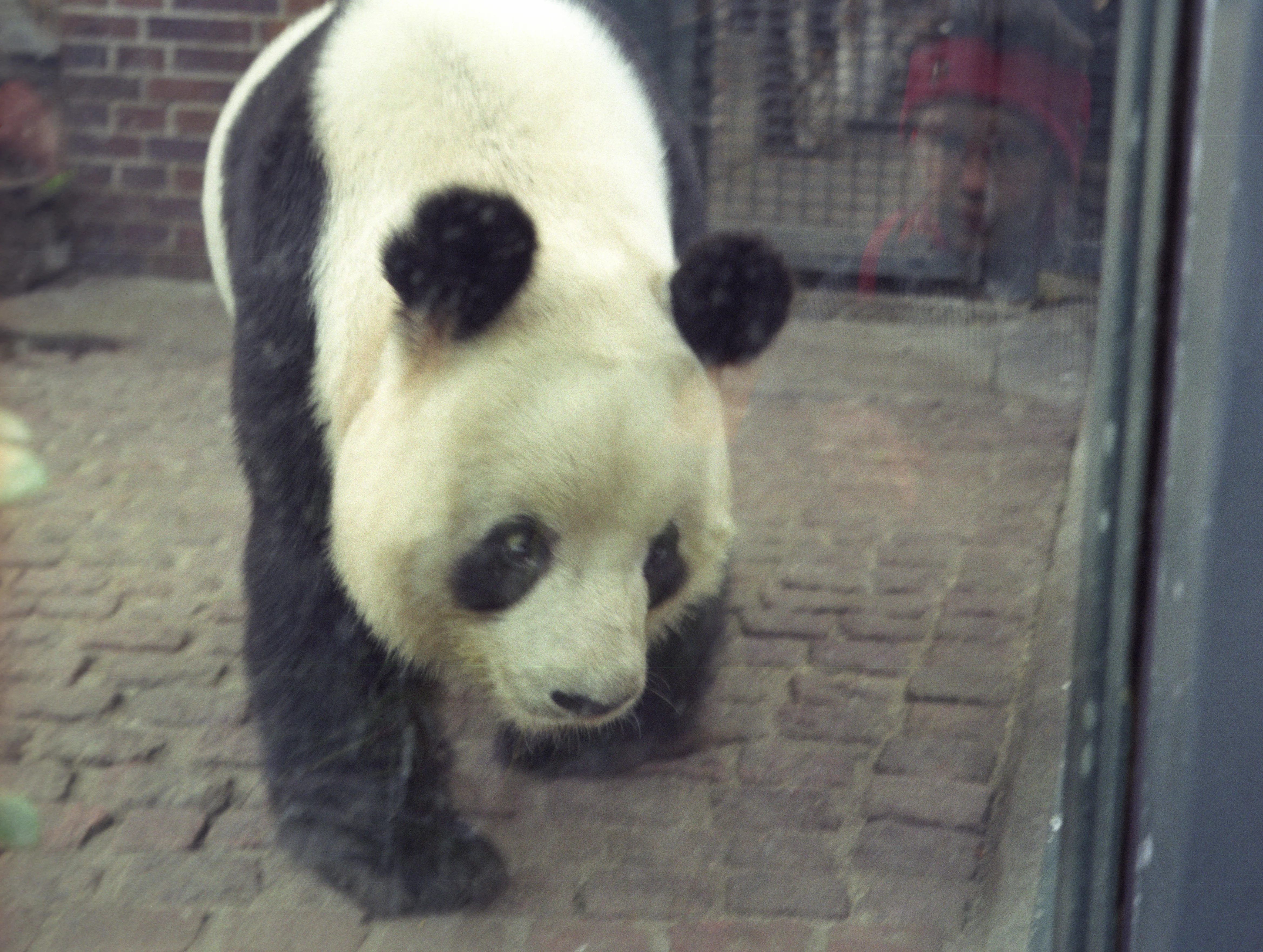 Zoo Berlin