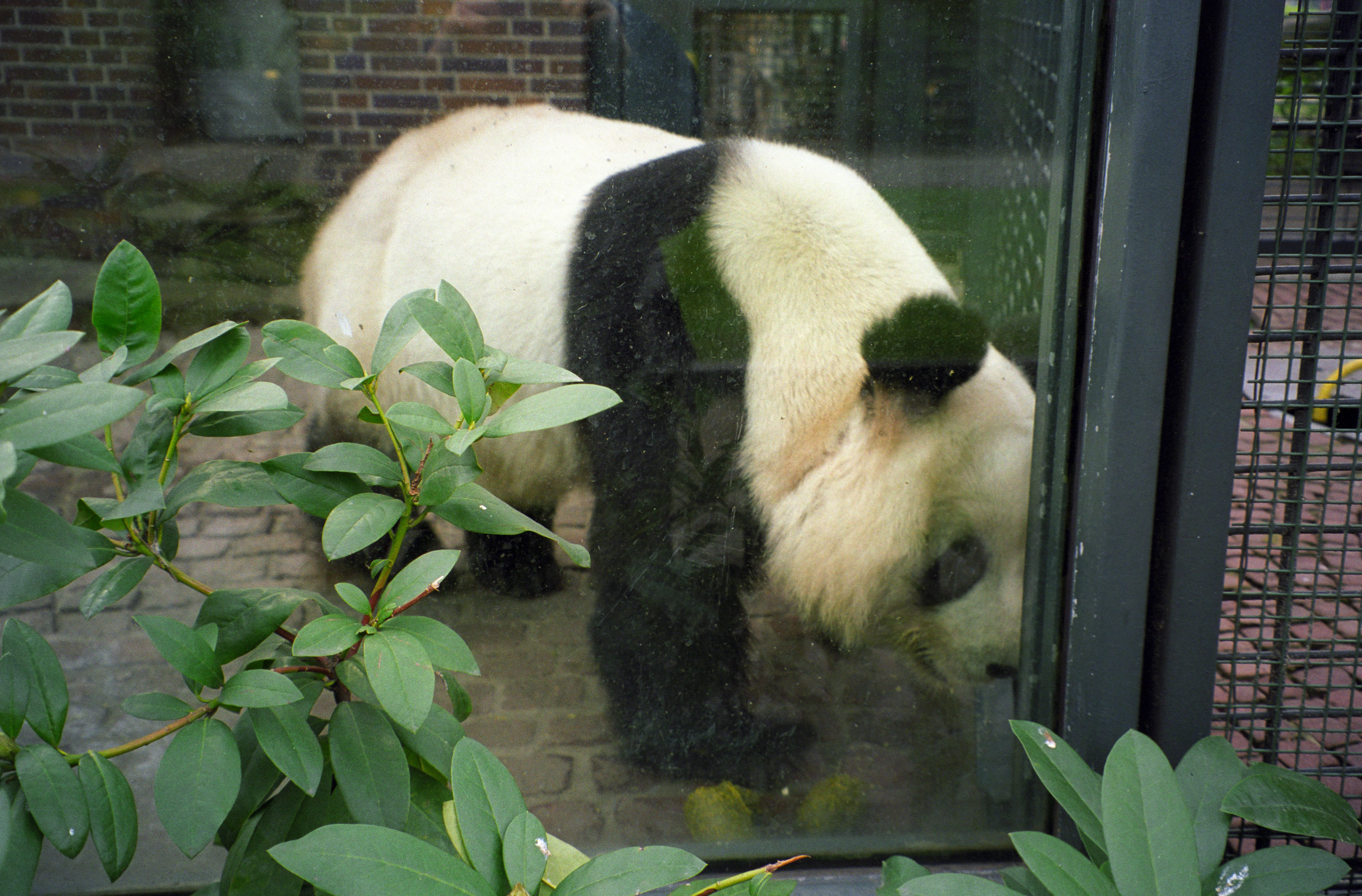 Zoo Berlin