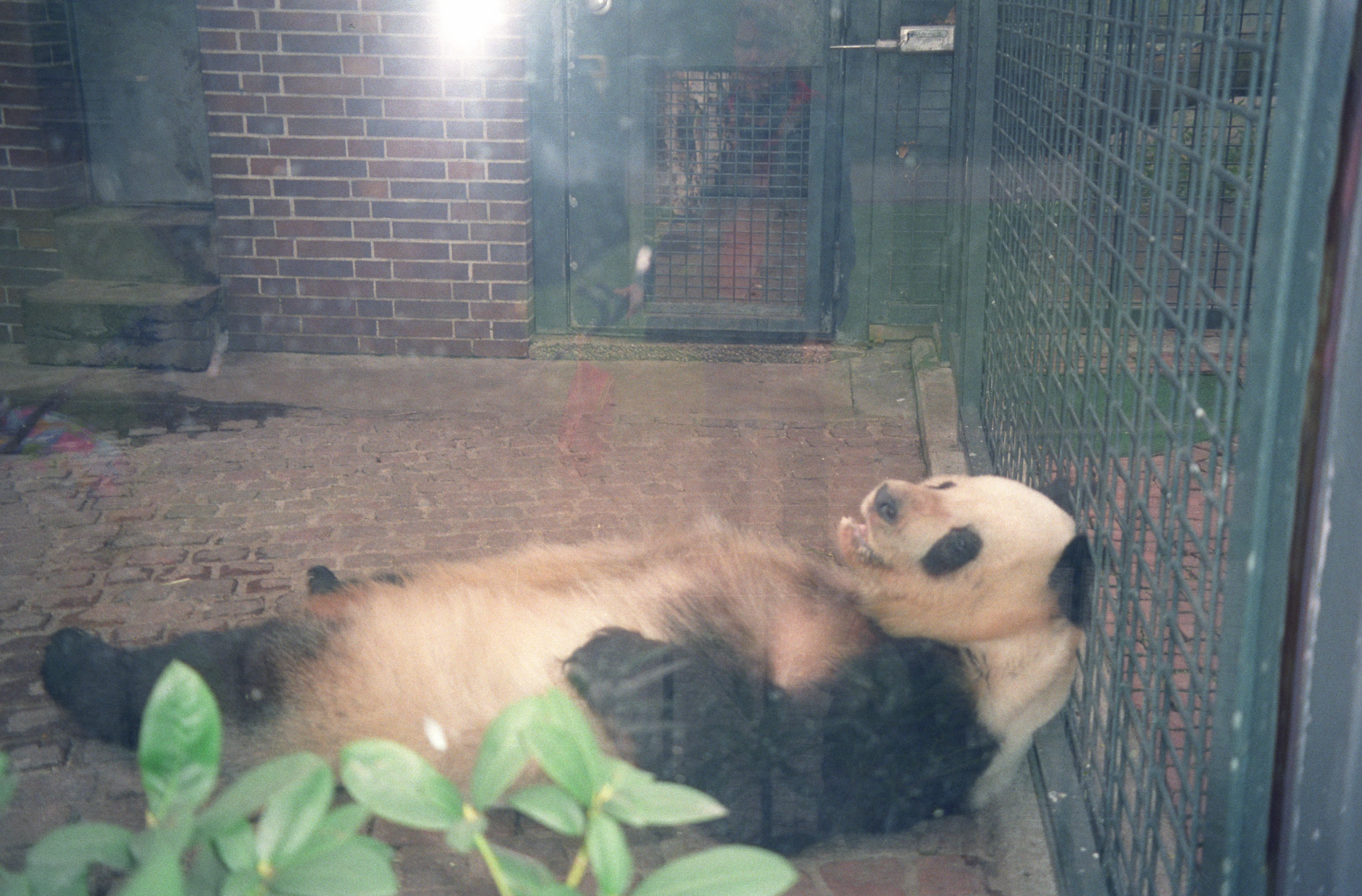 Zoo Berlin