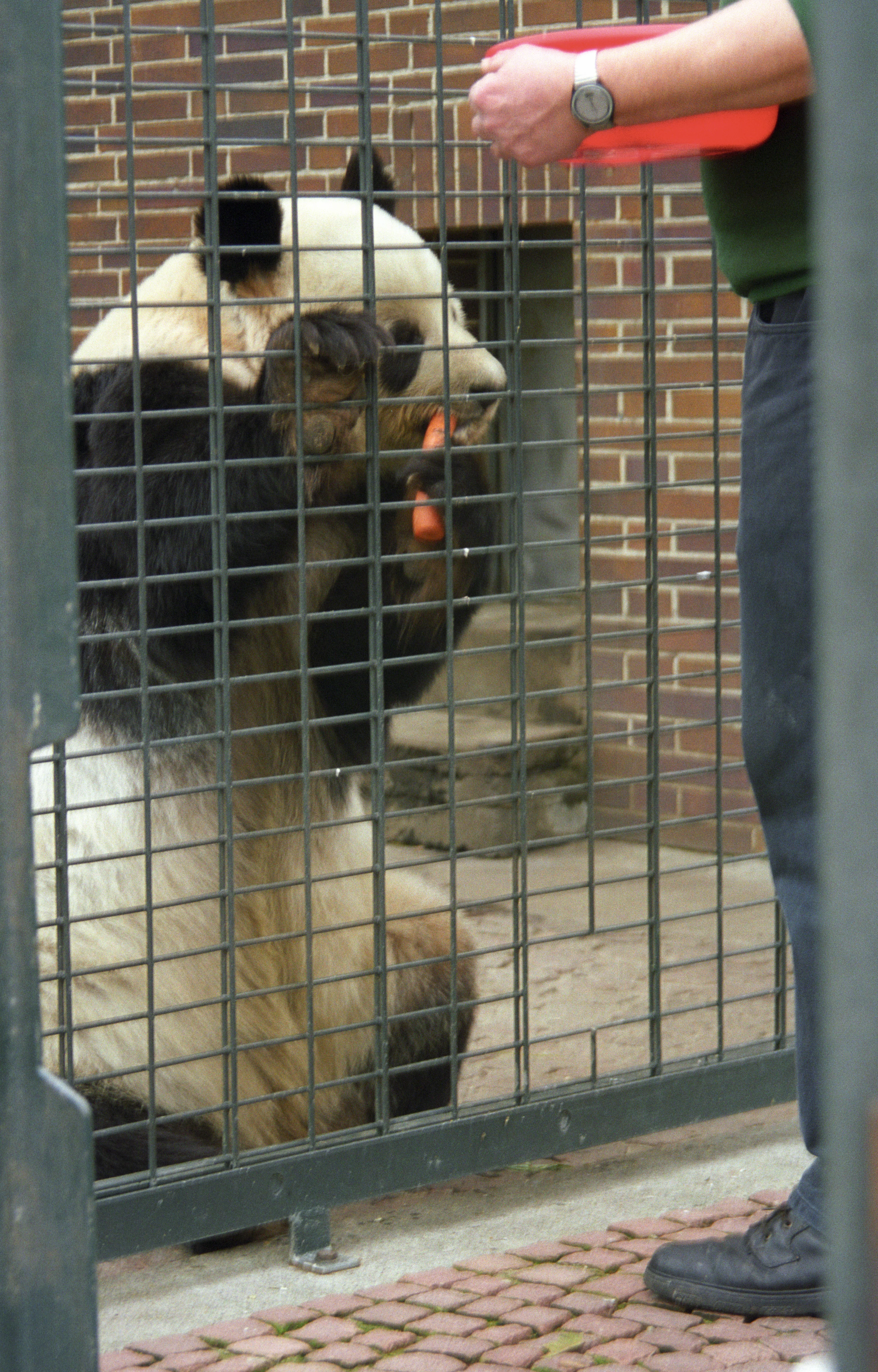 Zoo Berlin