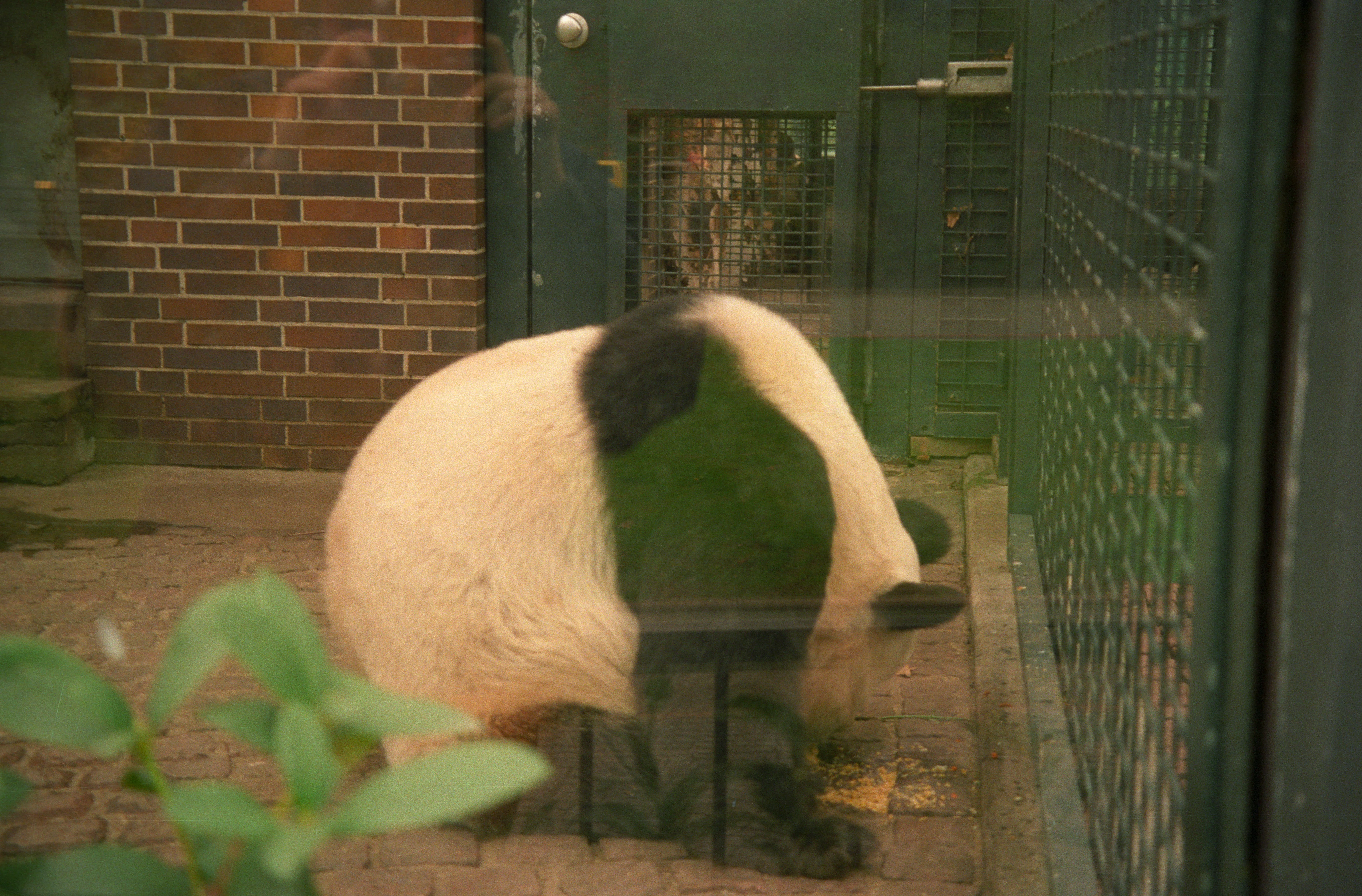 Zoo Berlin