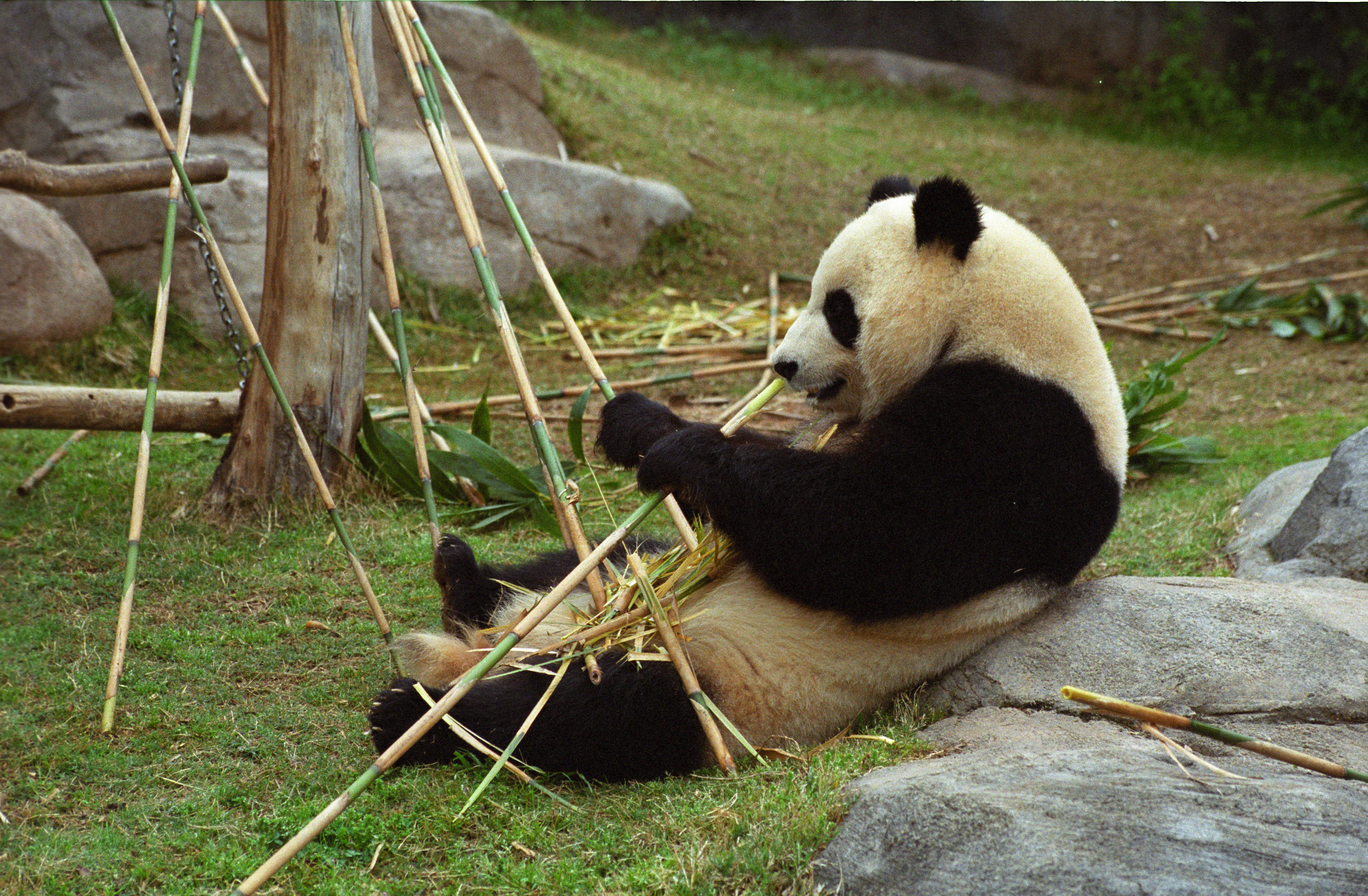 Zoo Atlanta