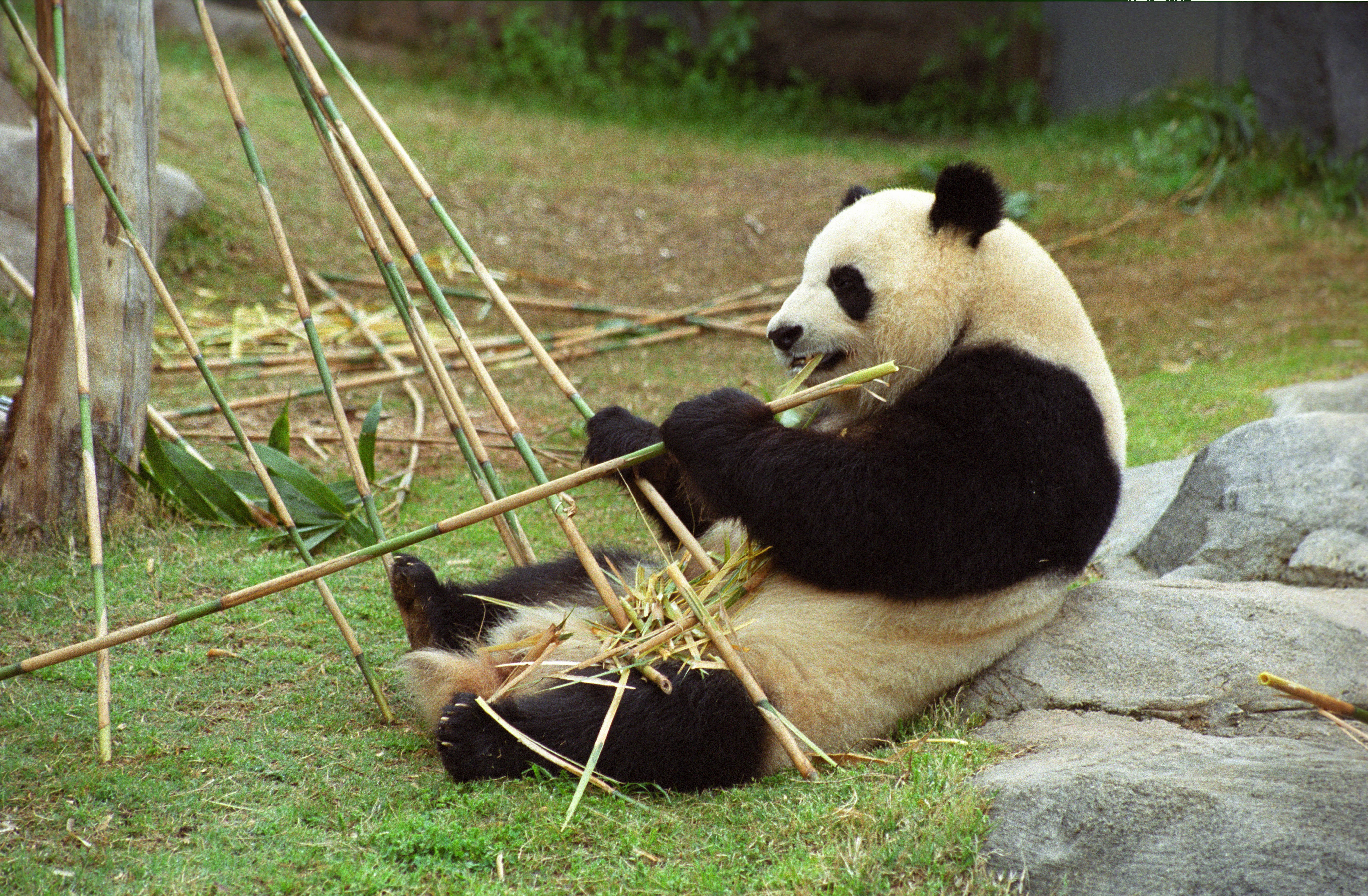 Zoo Atlanta