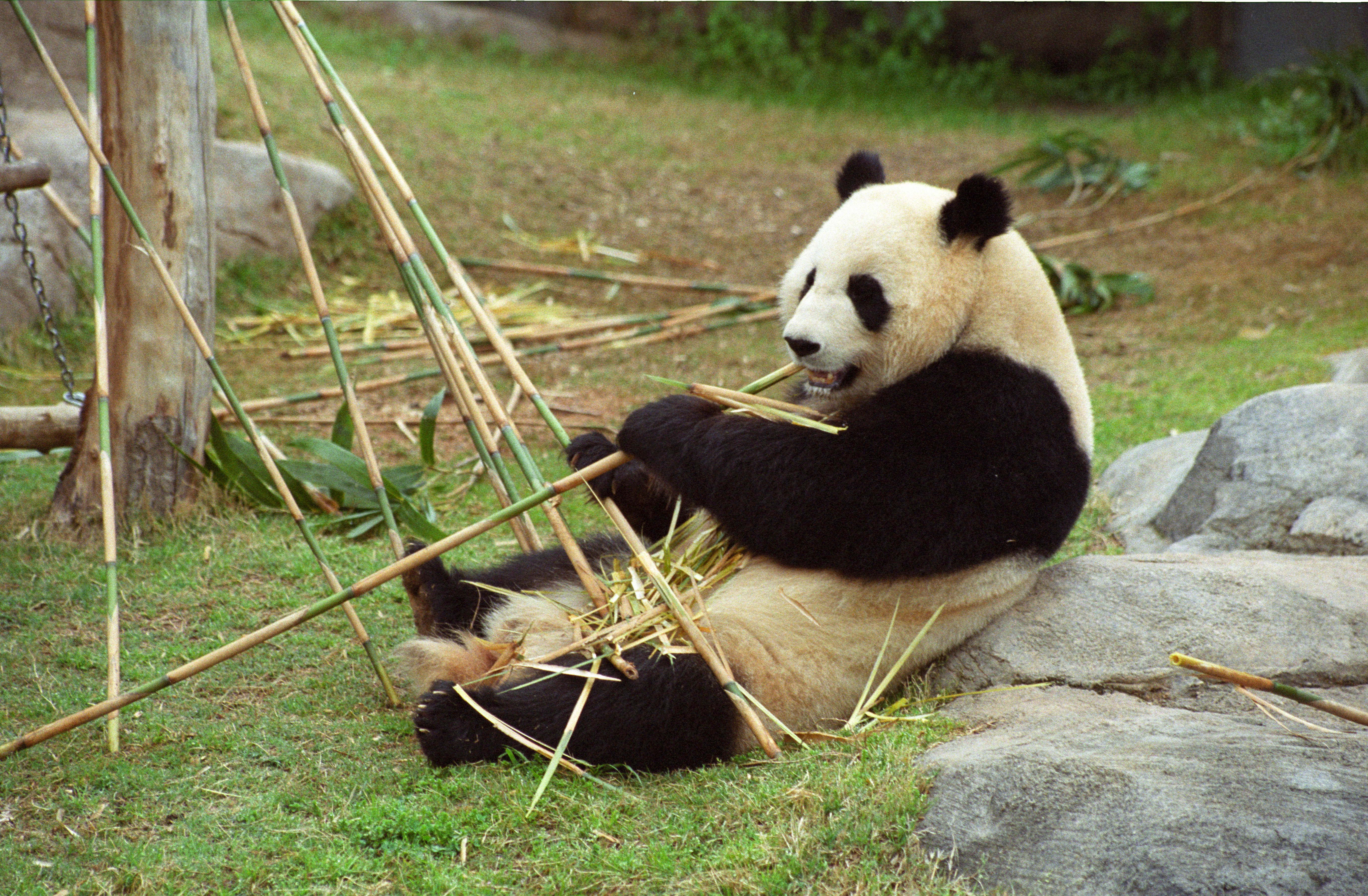 Zoo Atlanta