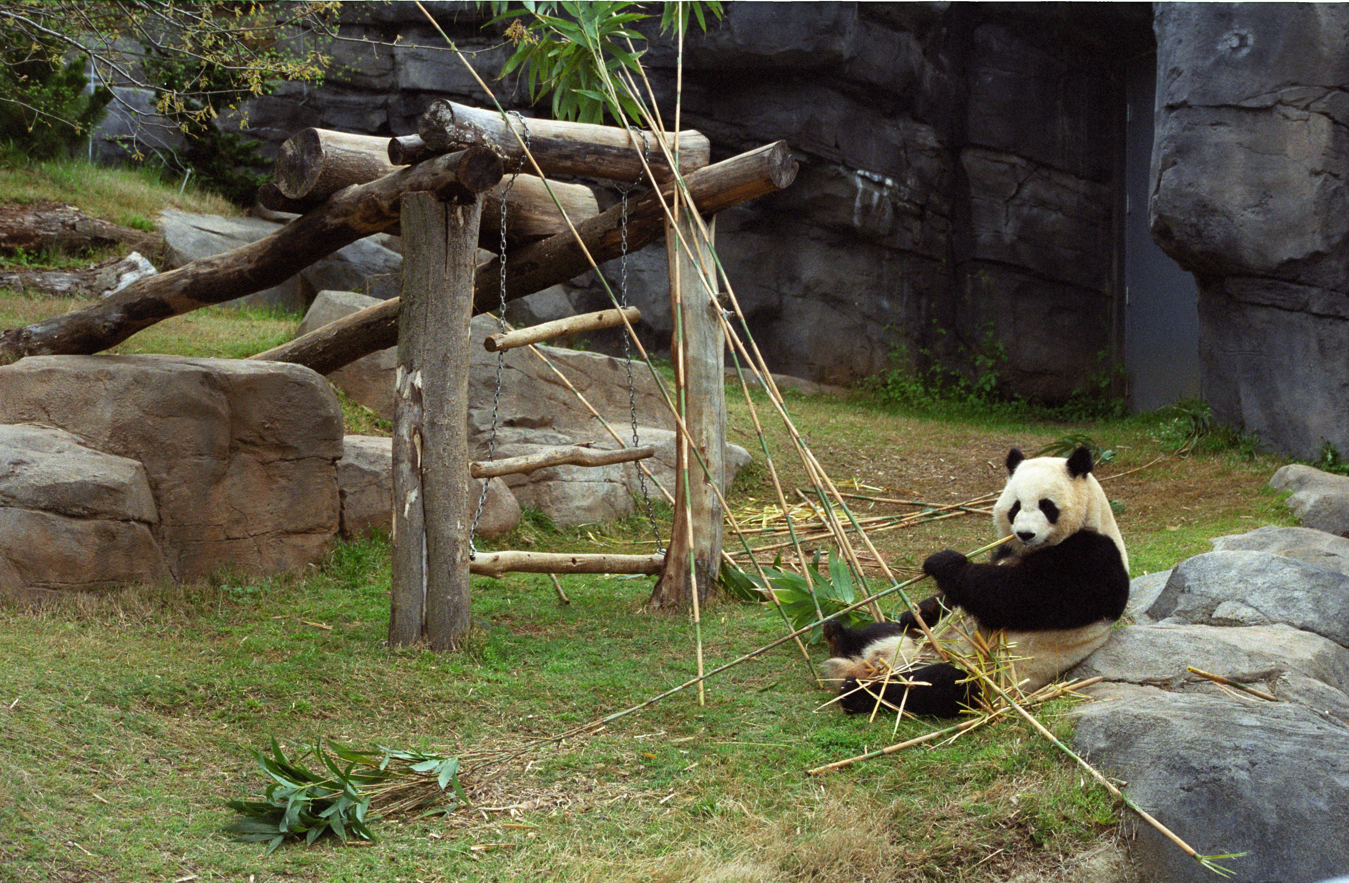 Zoo Atlanta