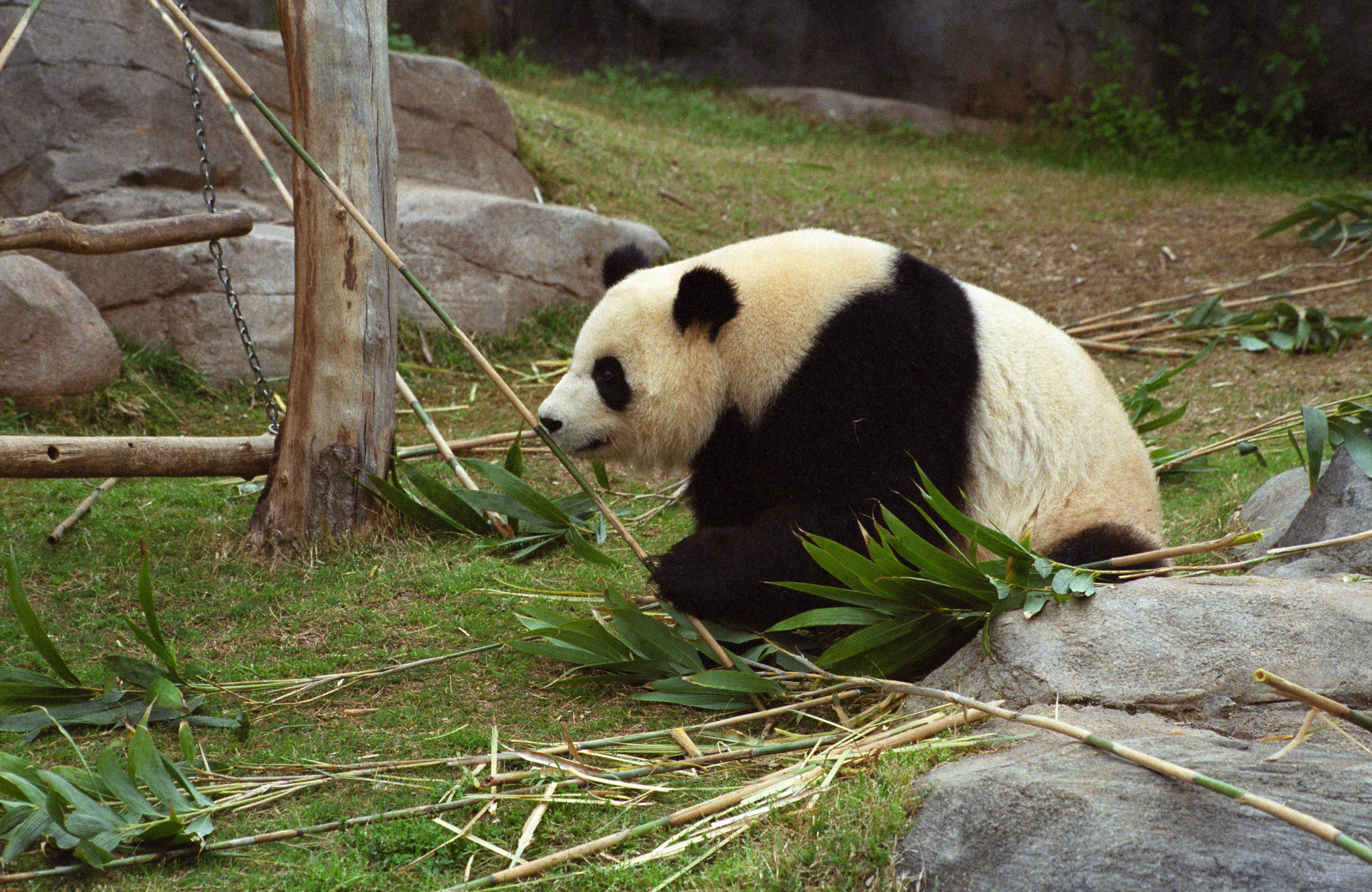 Zoo Atlanta