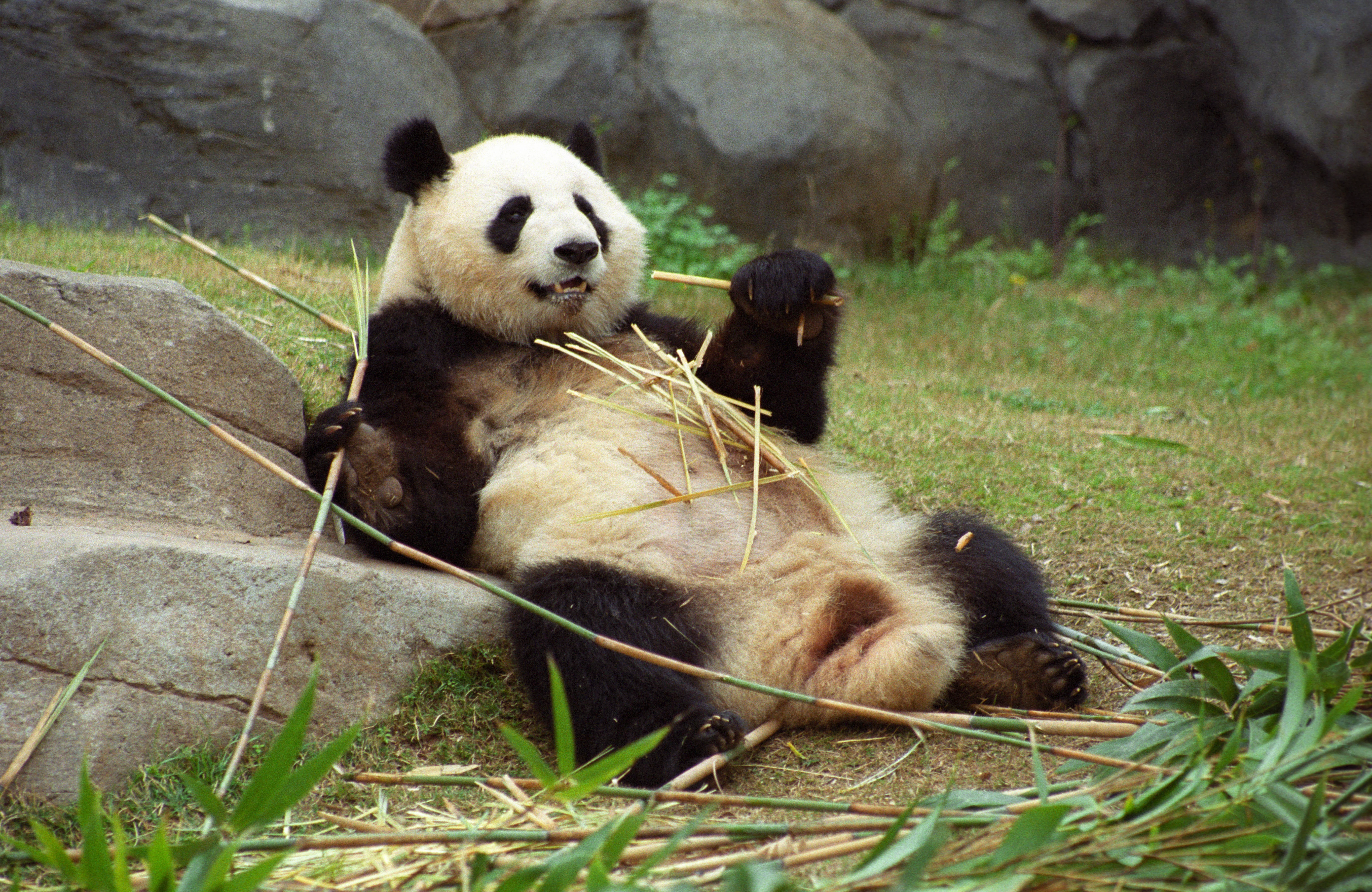Zoo Atlanta