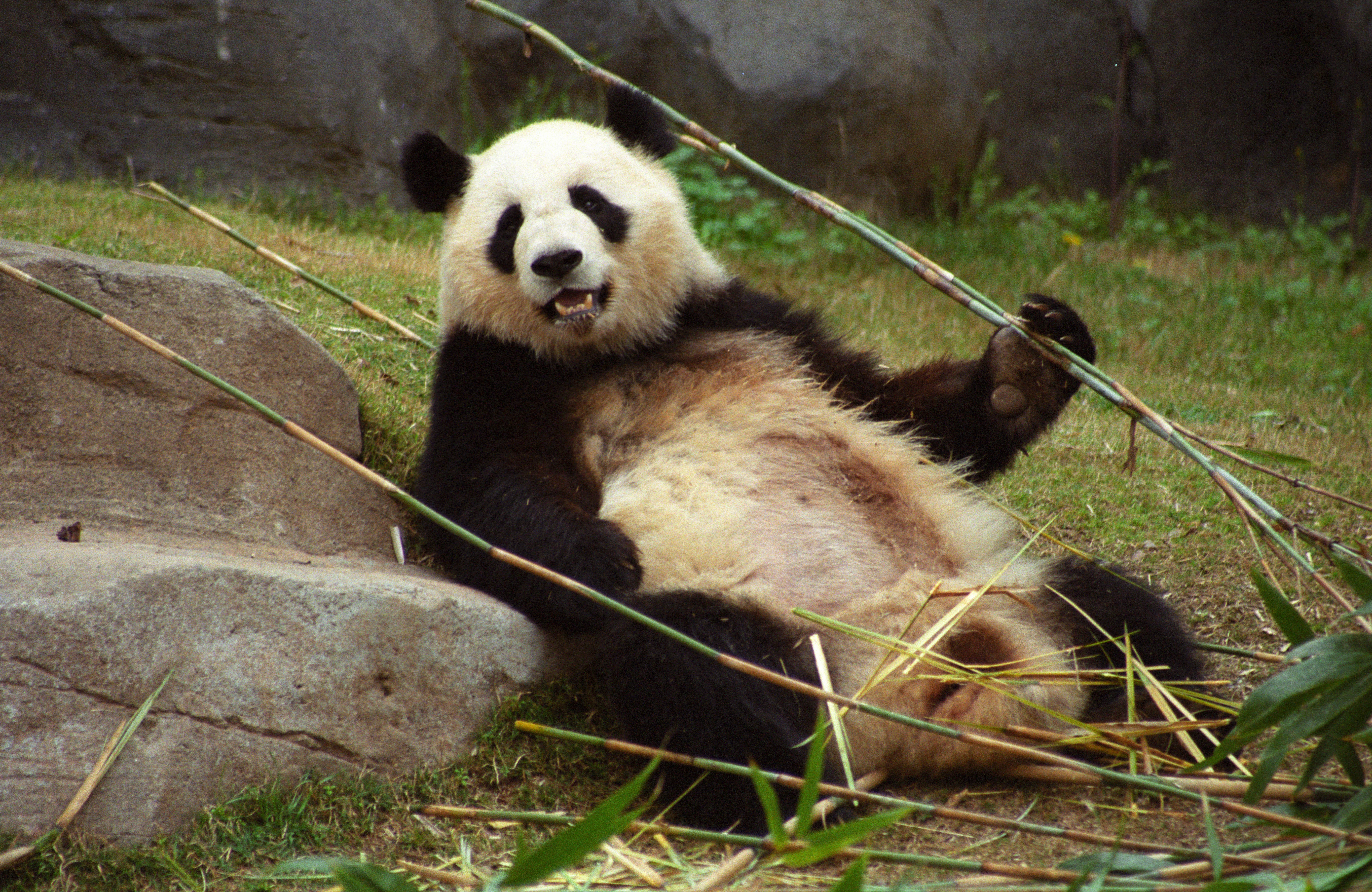 Zoo Atlanta