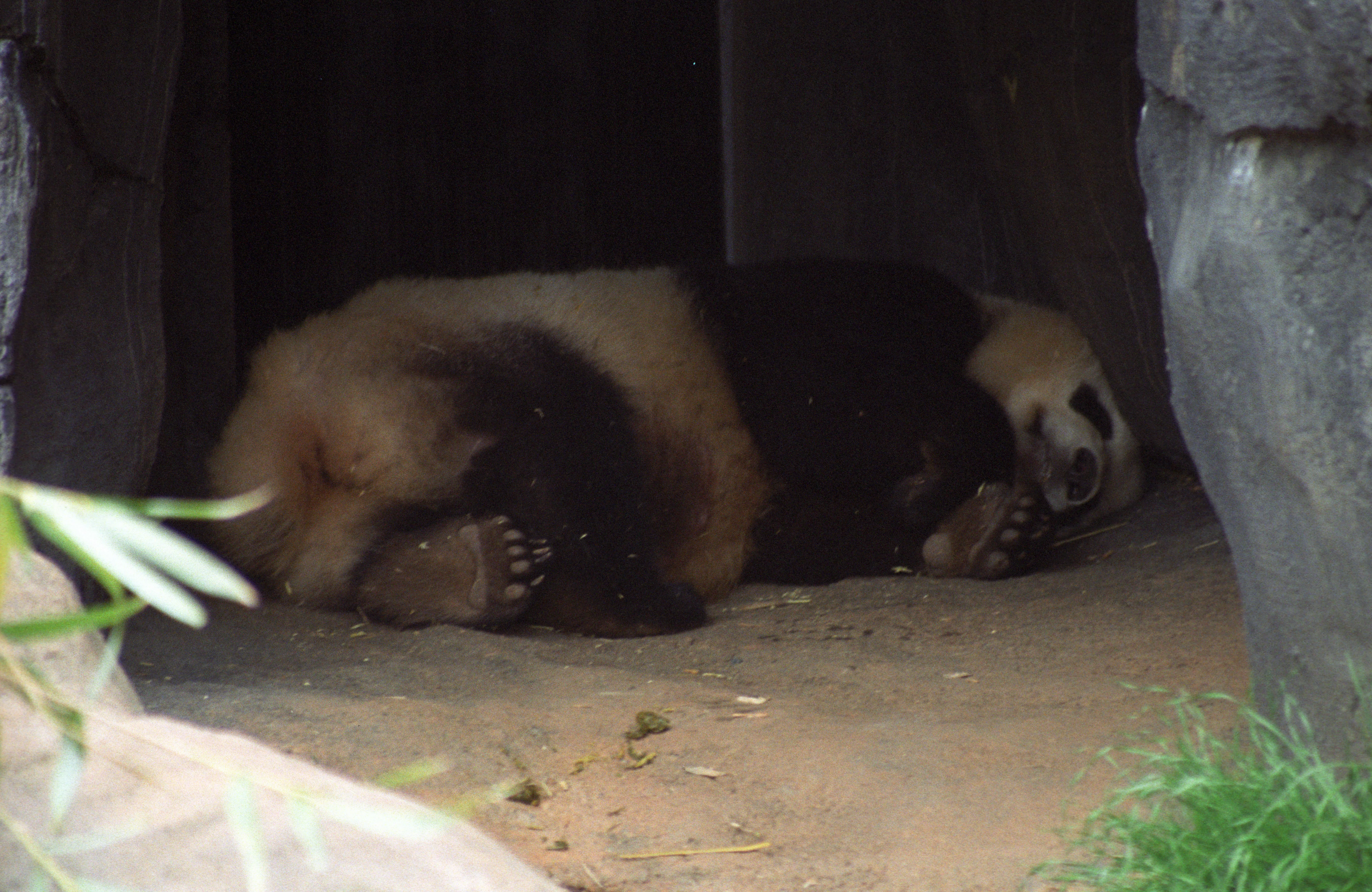 Zoo Atlanta