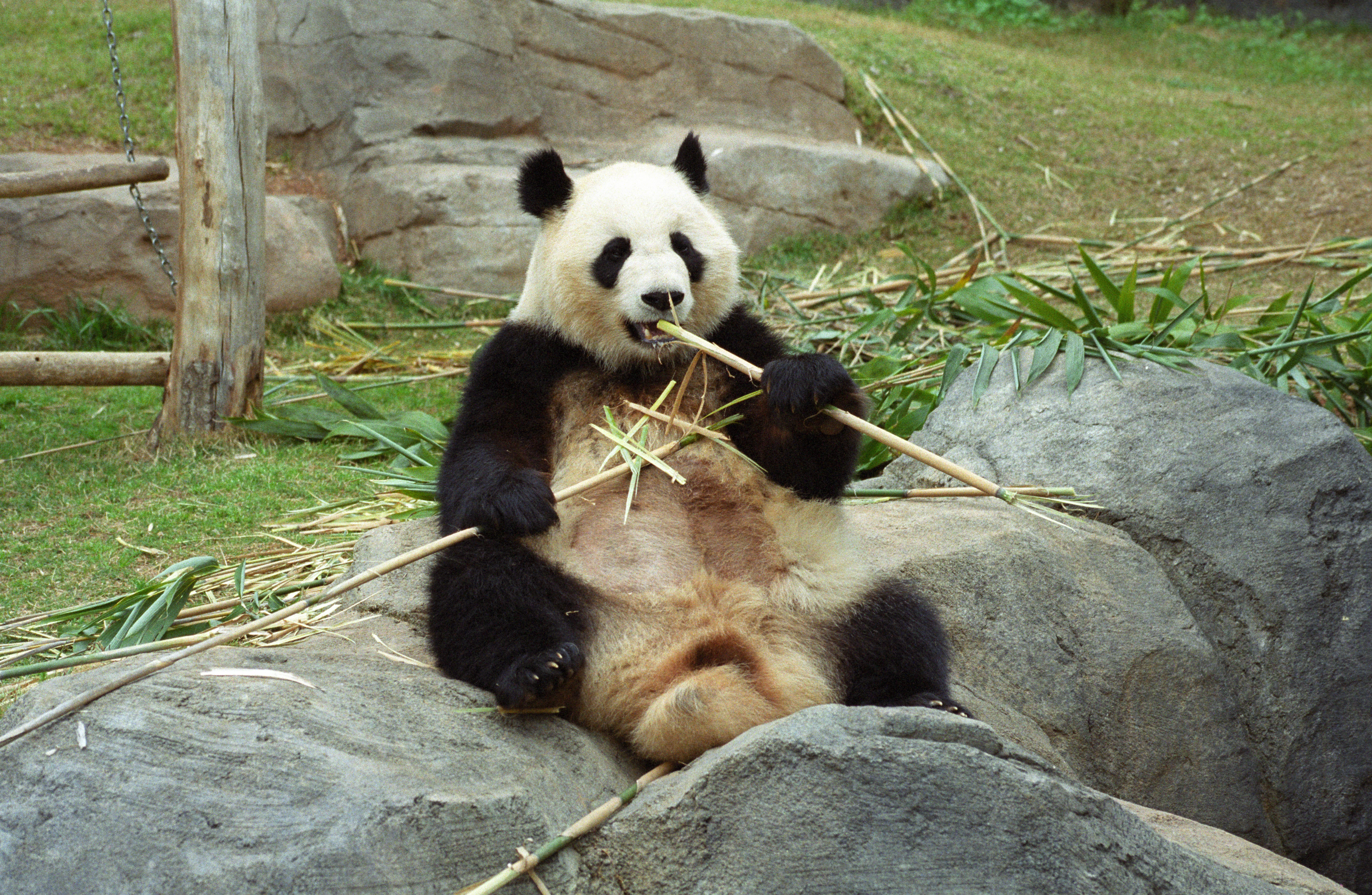 Zoo Atlanta