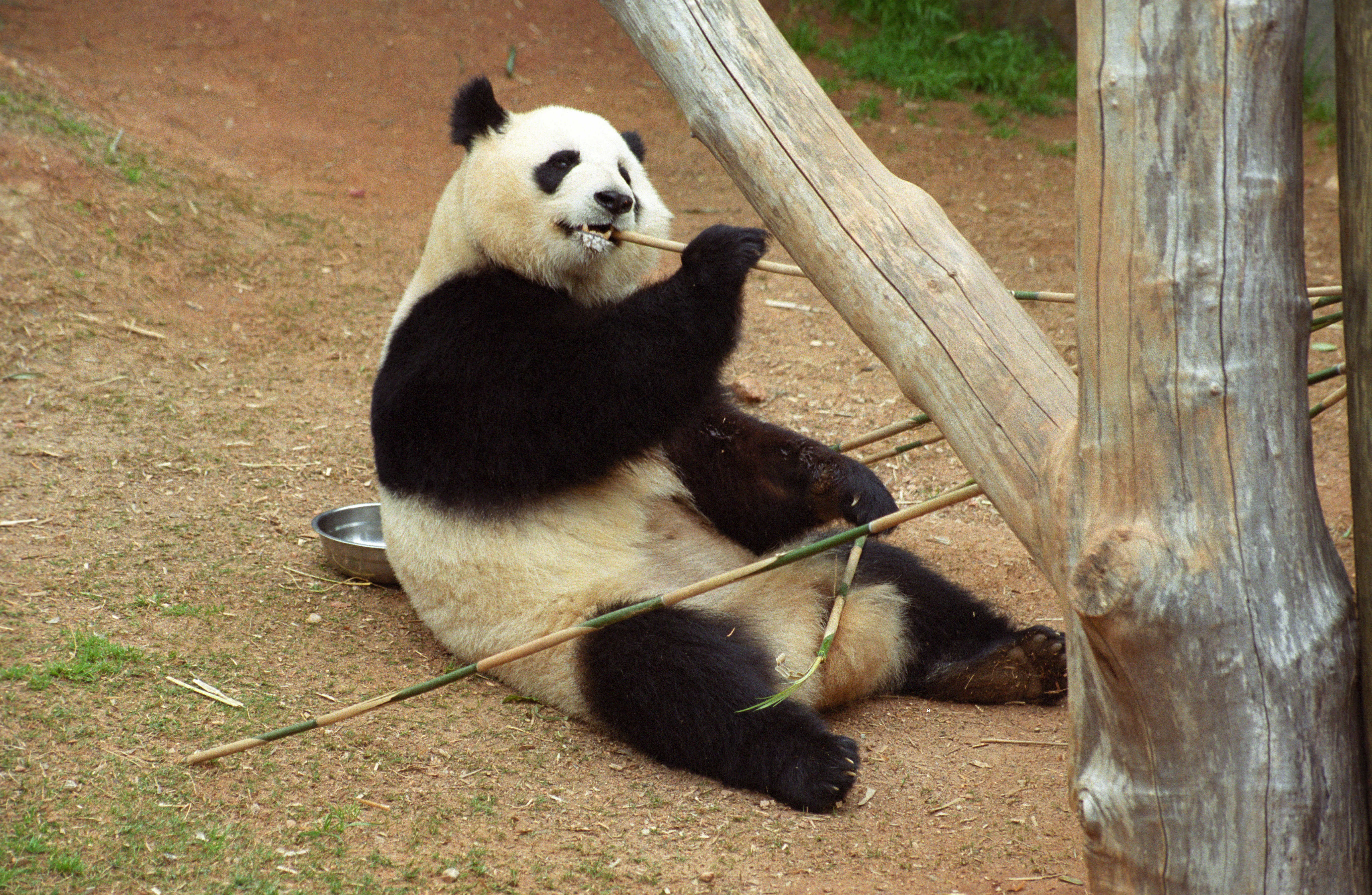 Zoo Atlanta