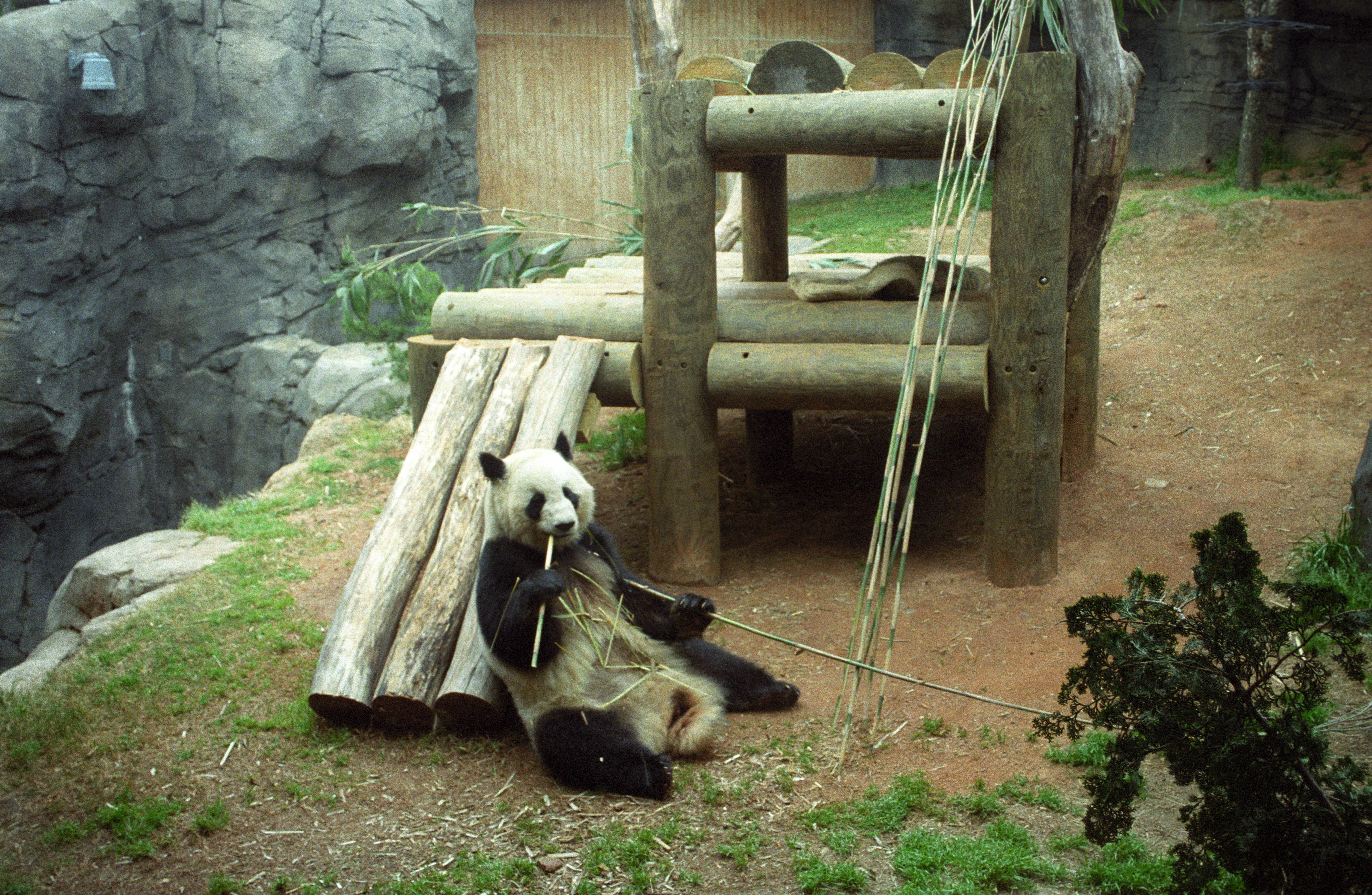 Zoo Atlanta
