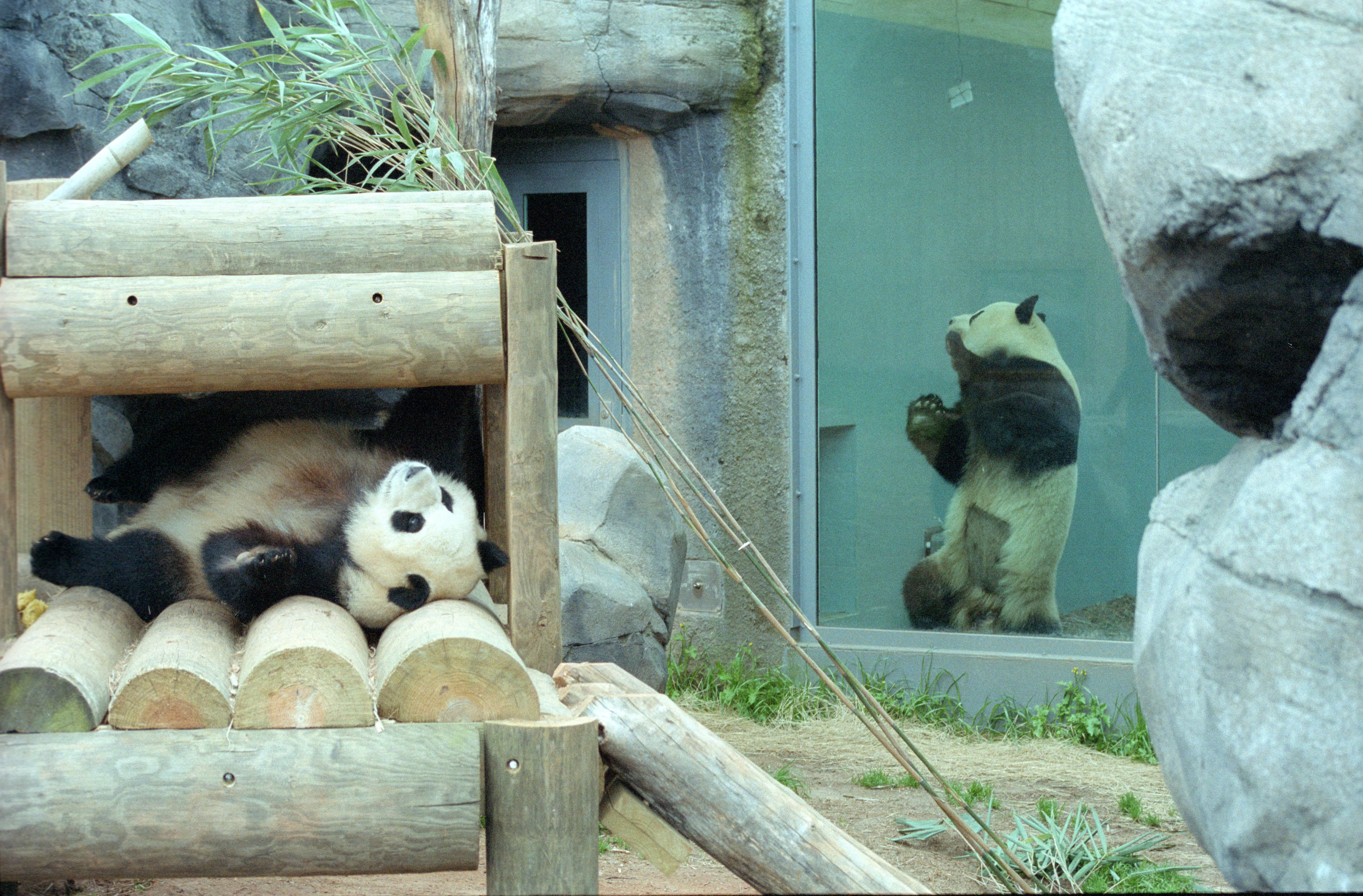 Zoo Atlanta