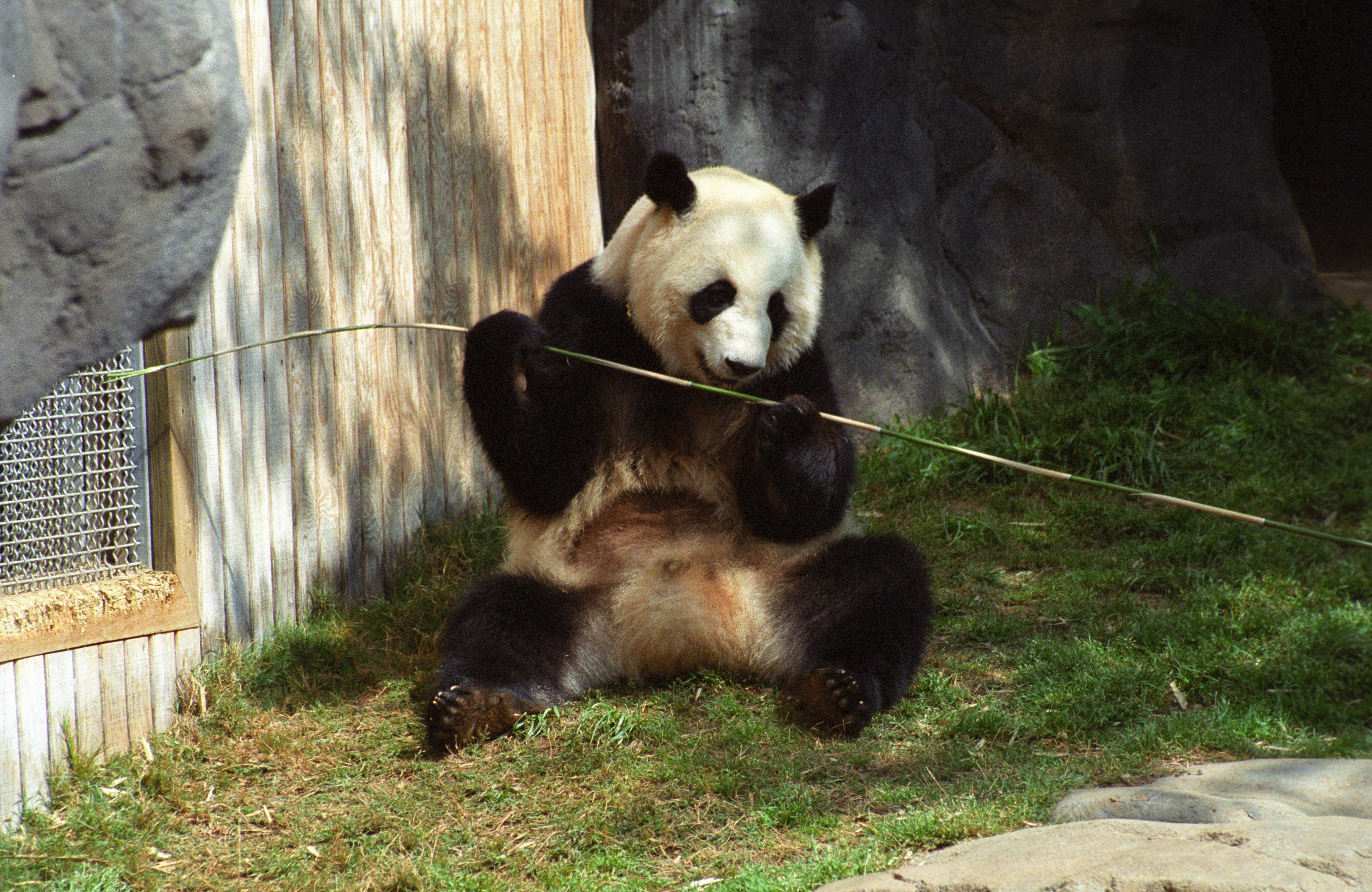 Zoo Atlanta