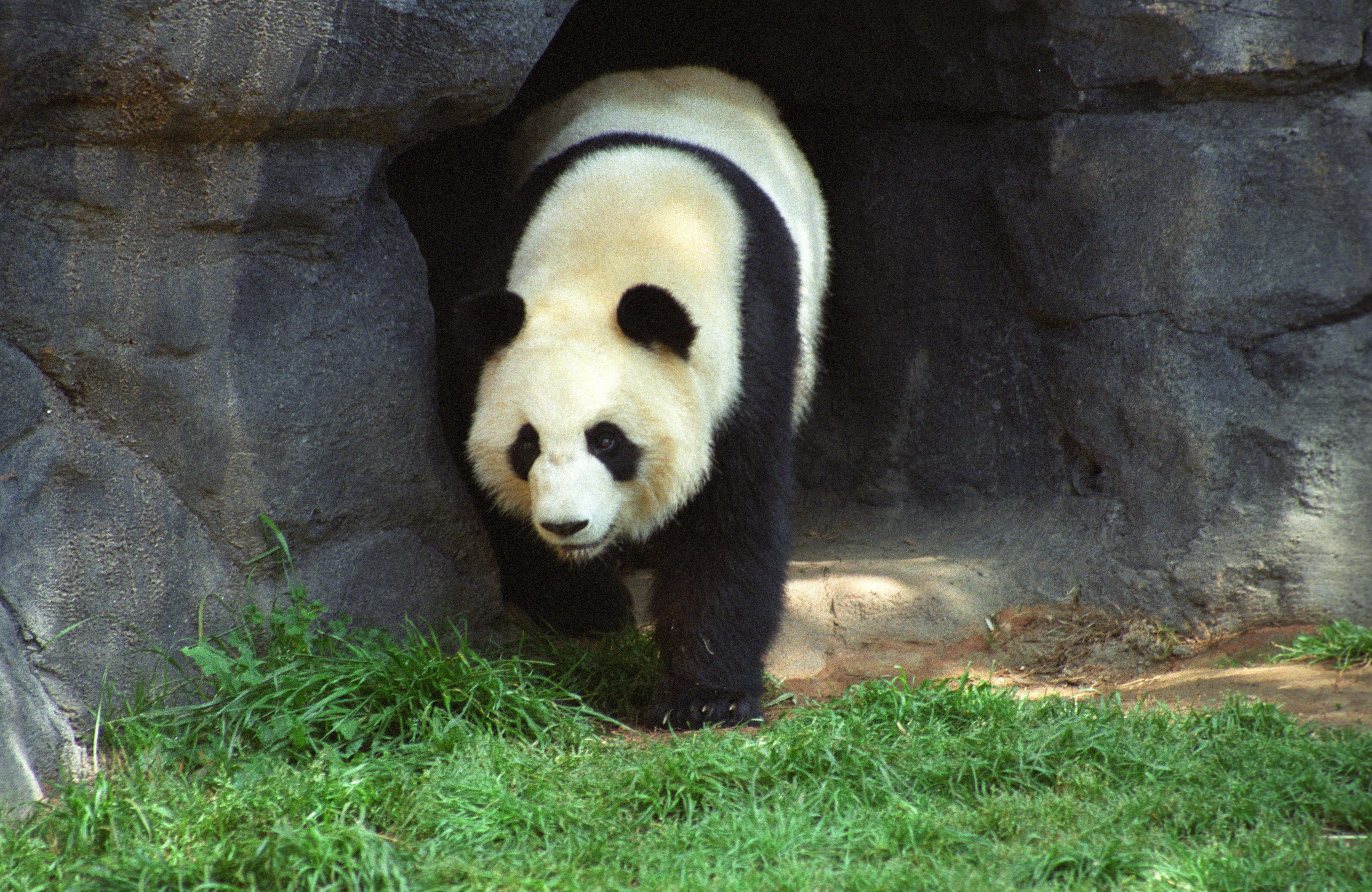 Zoo Atlanta