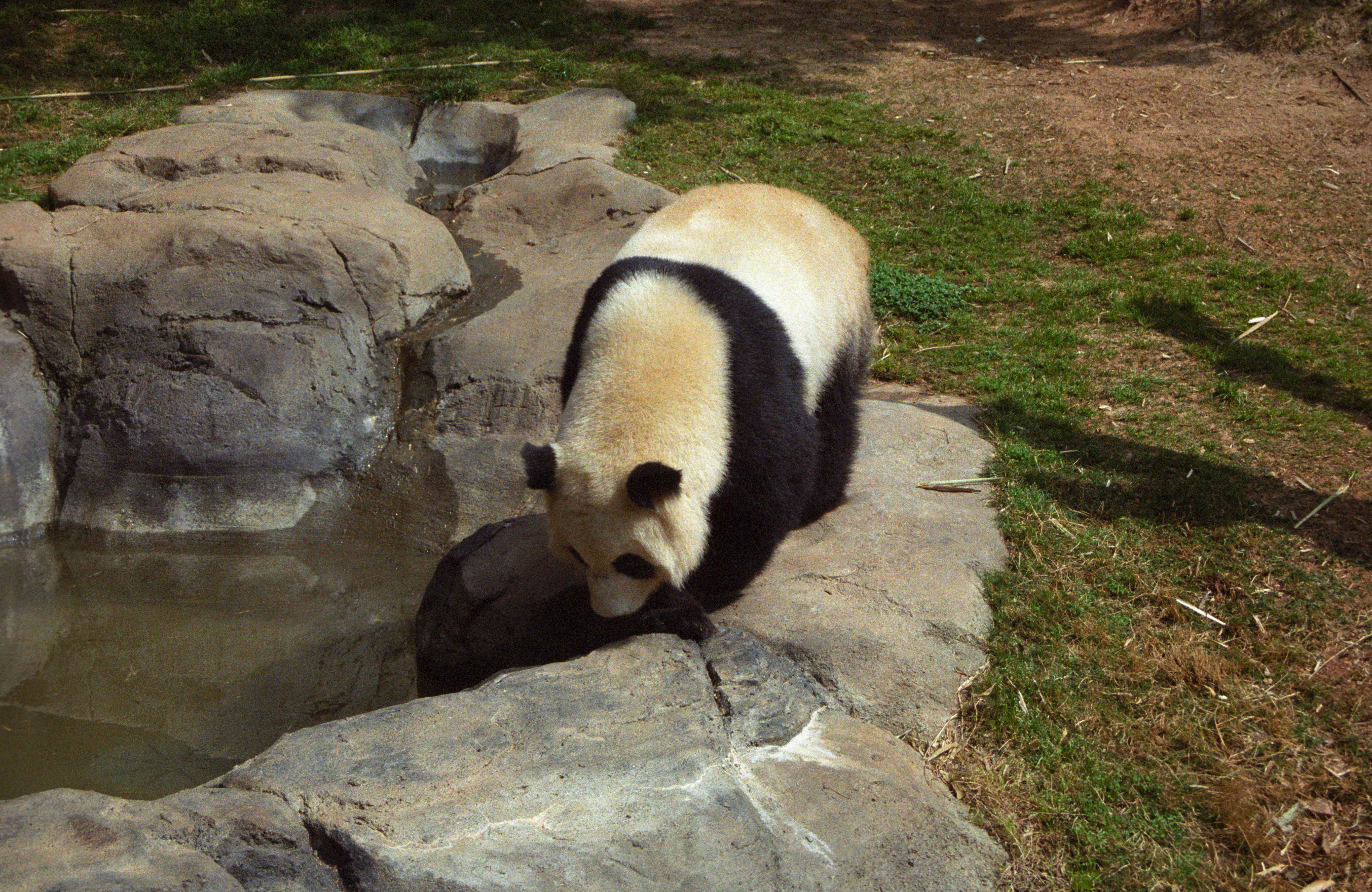 Zoo Atlanta