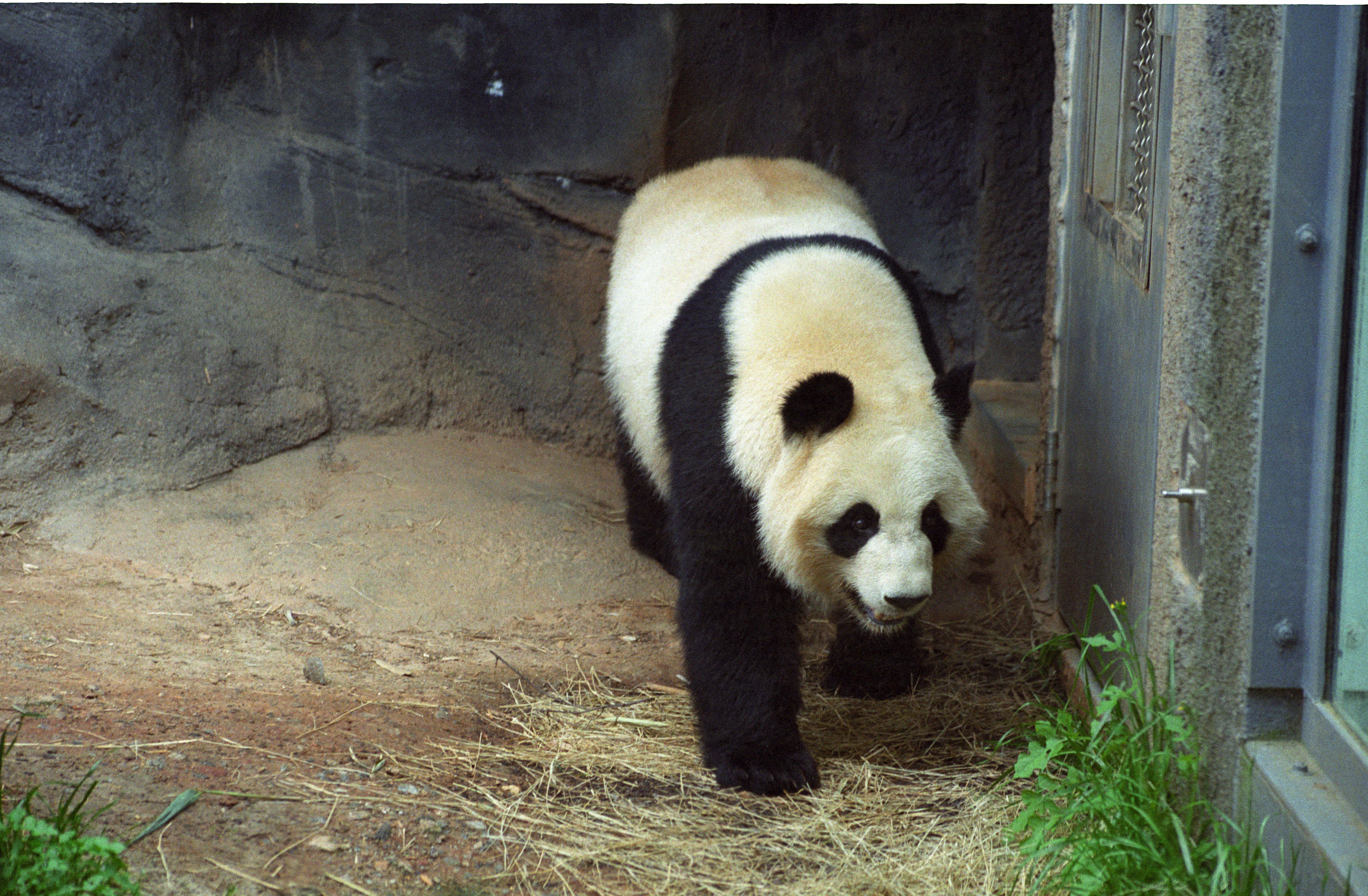 Zoo Atlanta