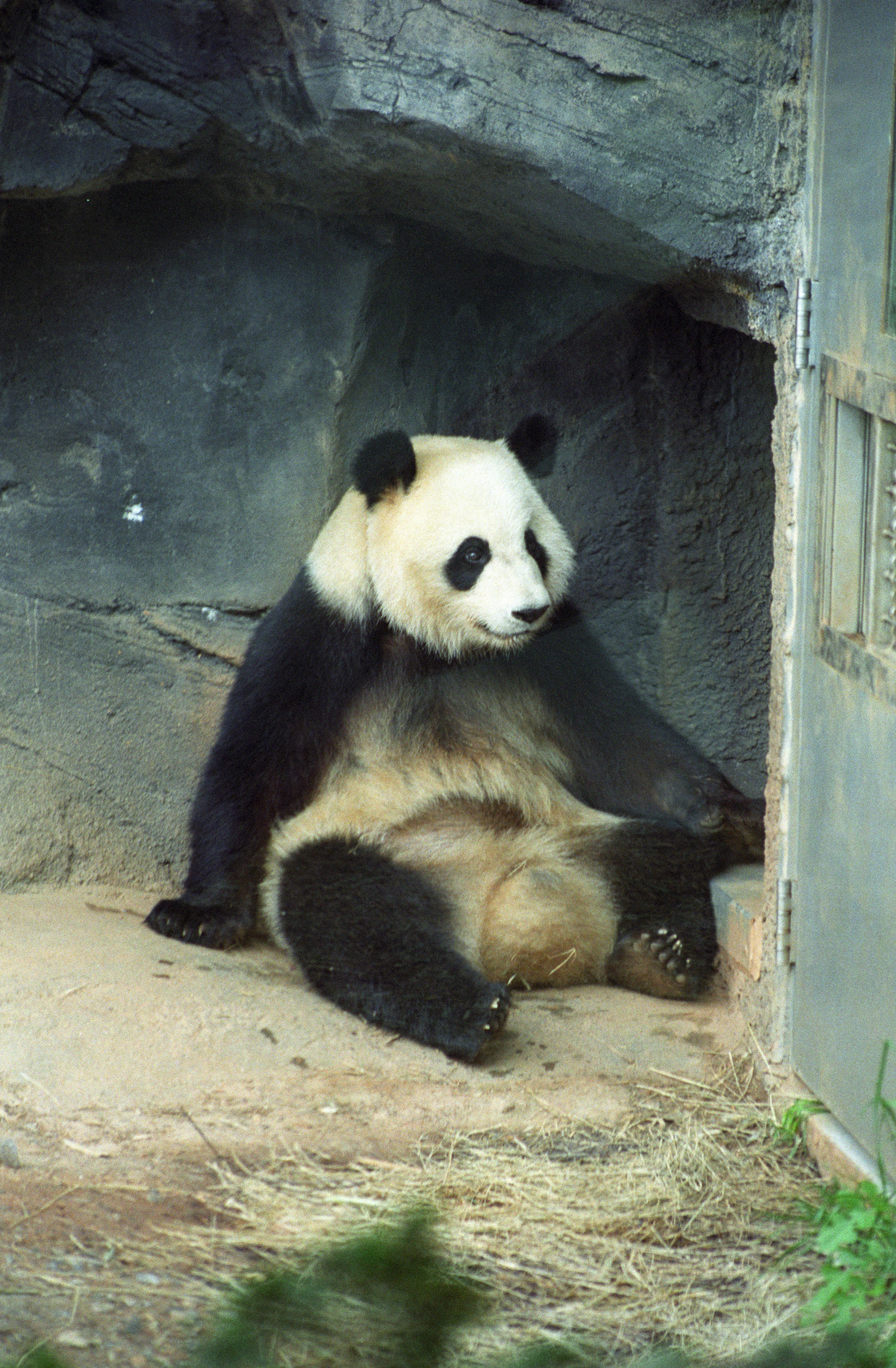 Zoo Atlanta