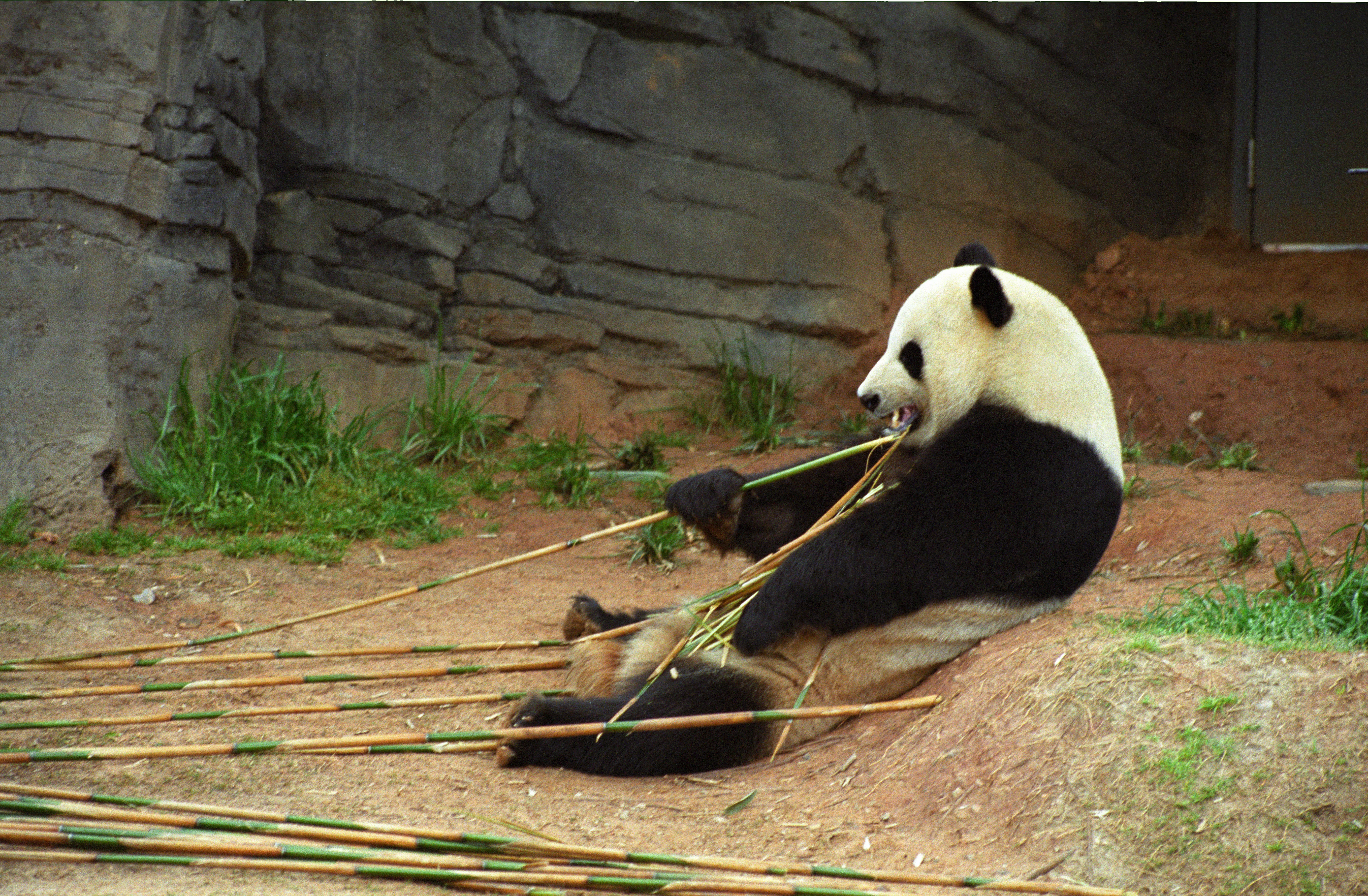 Zoo Atlanta