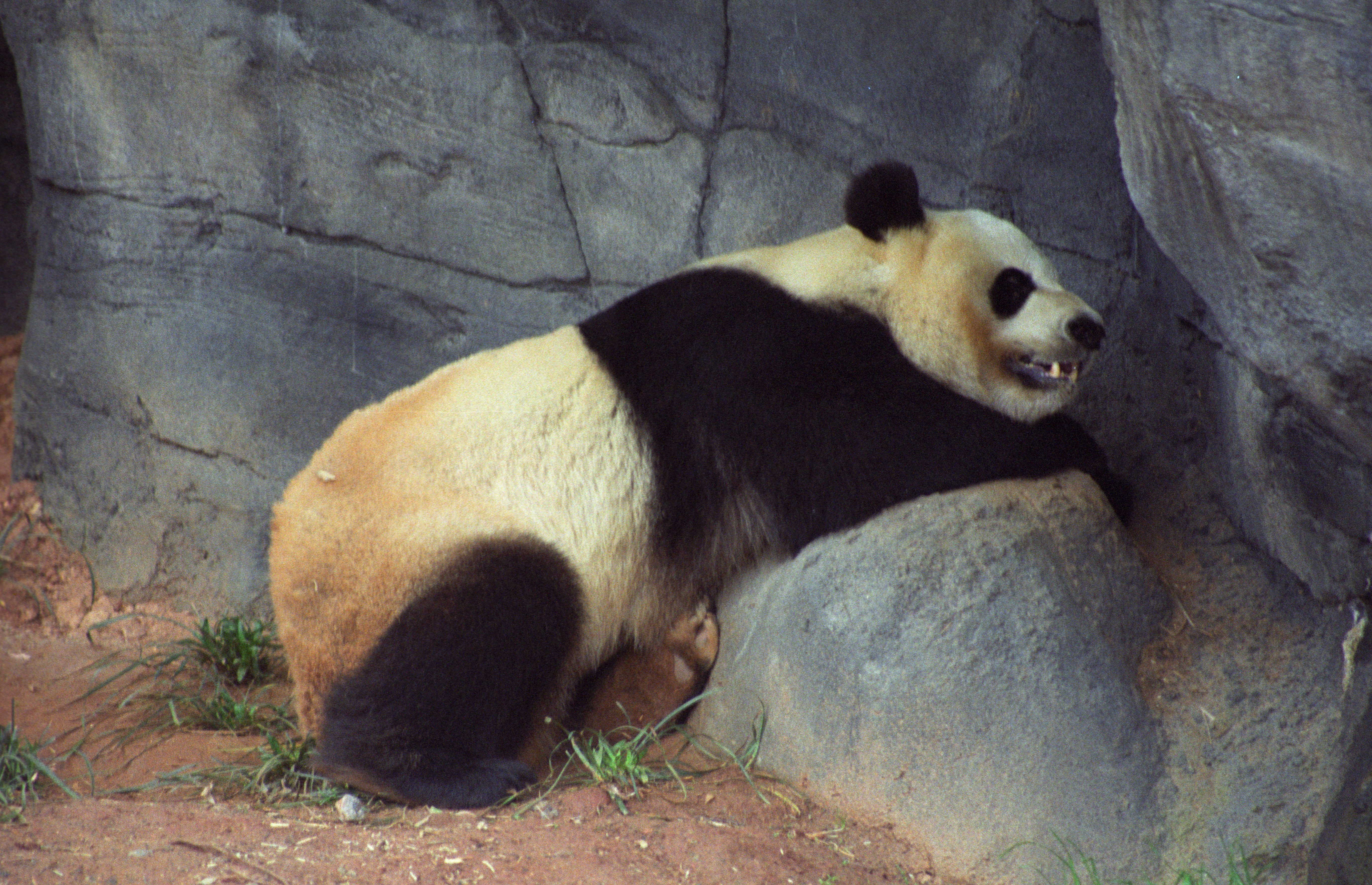 Zoo Atlanta