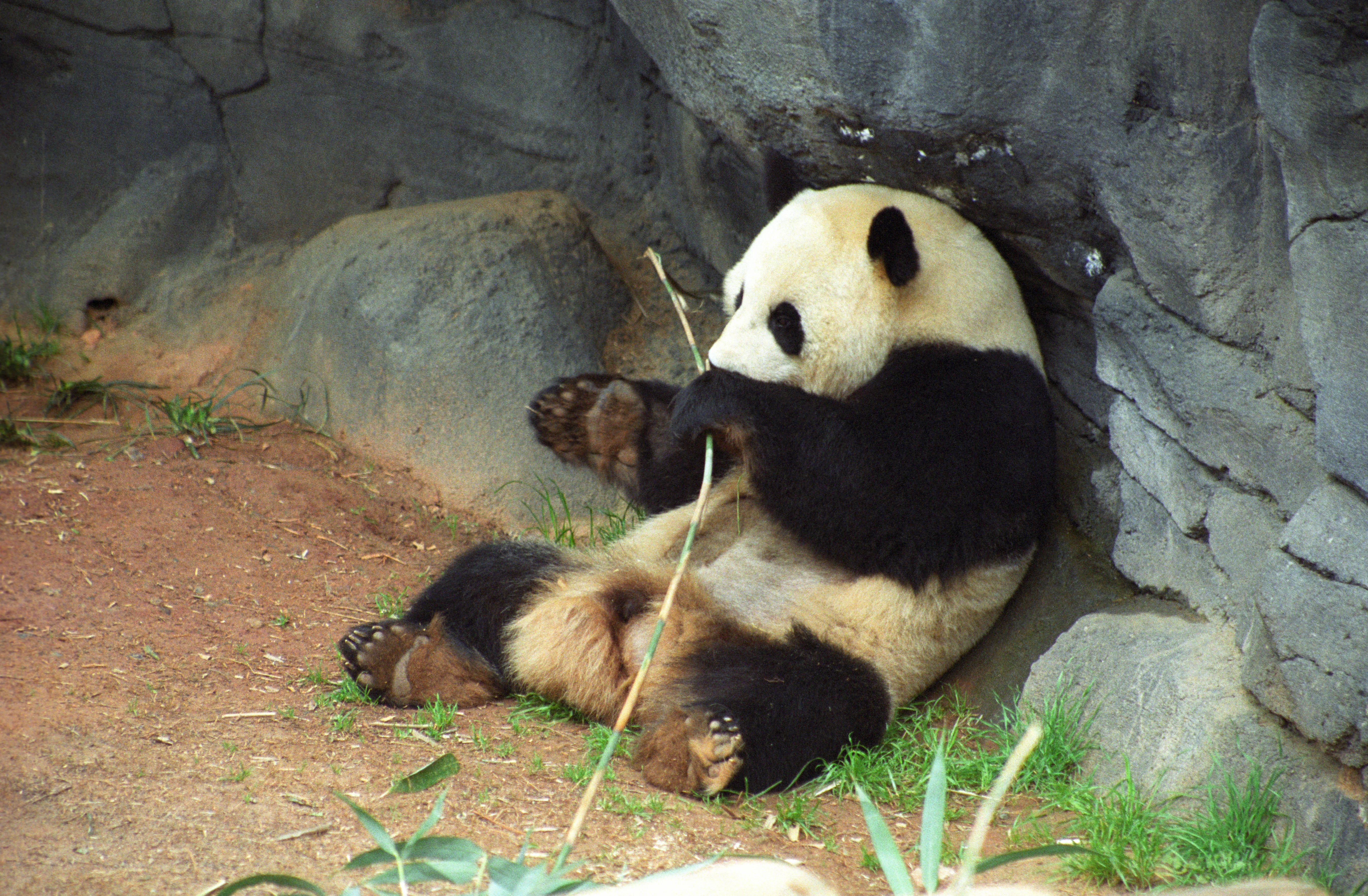 Zoo Atlanta