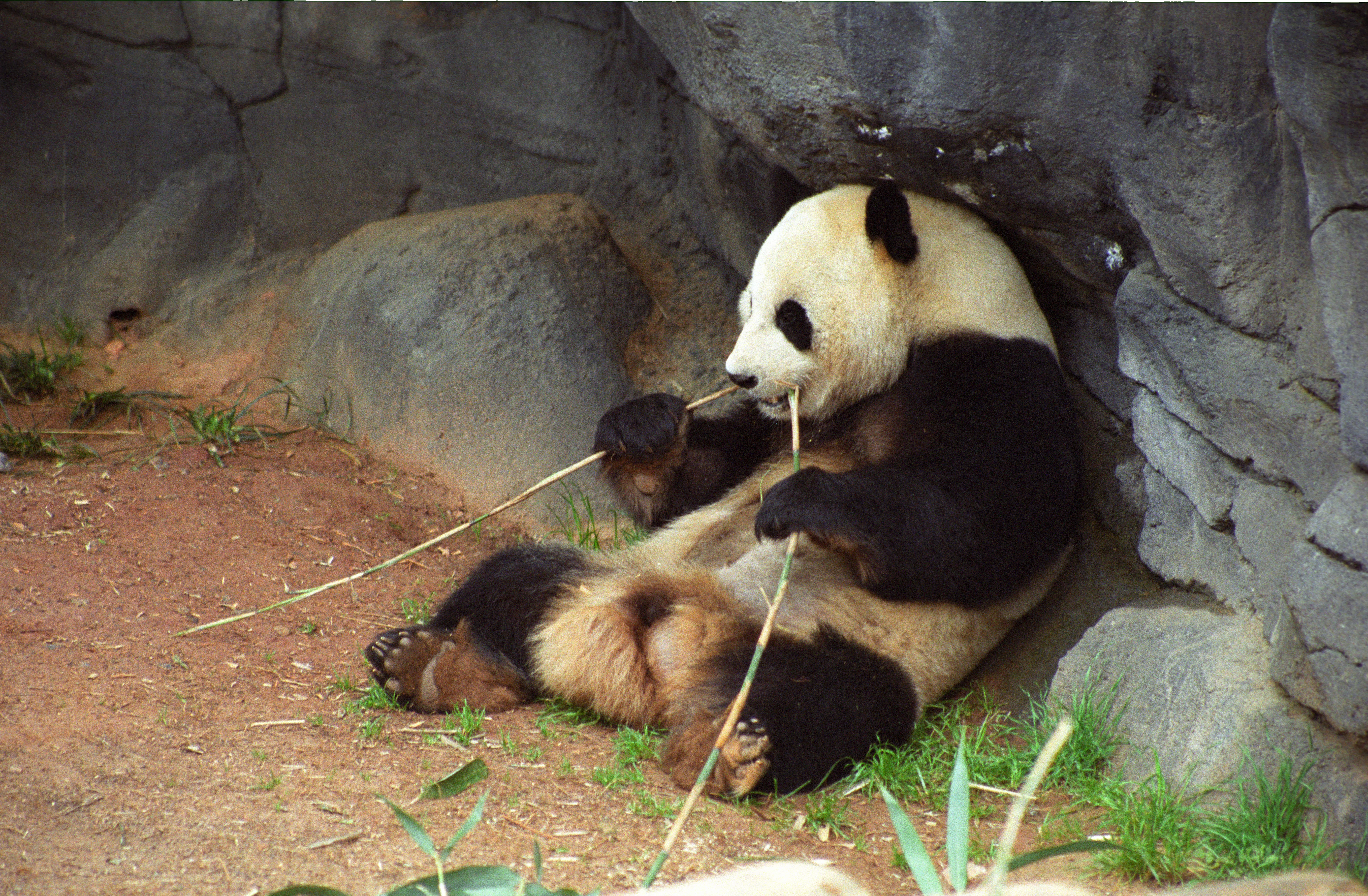Zoo Atlanta