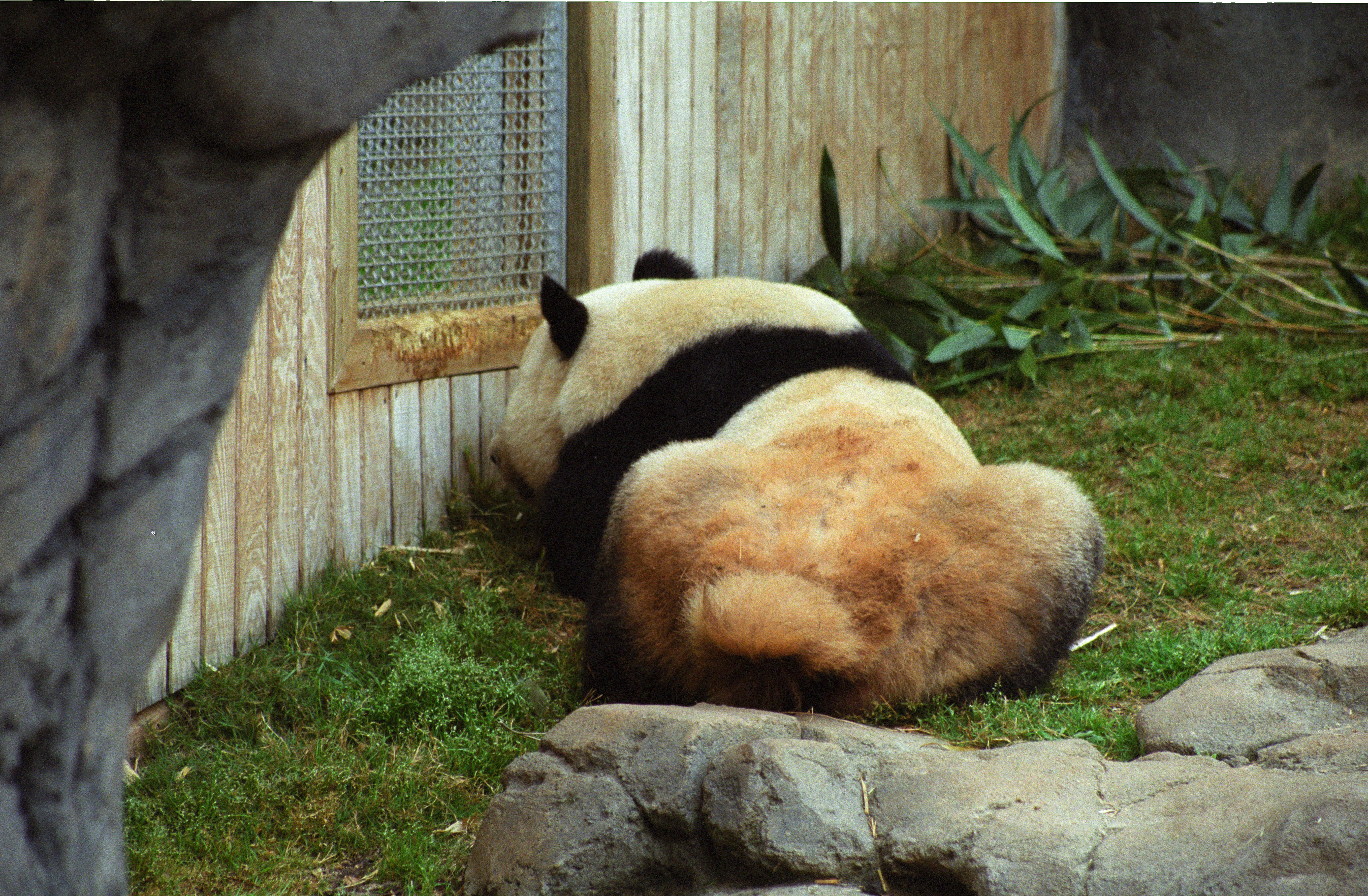 Zoo Atlanta