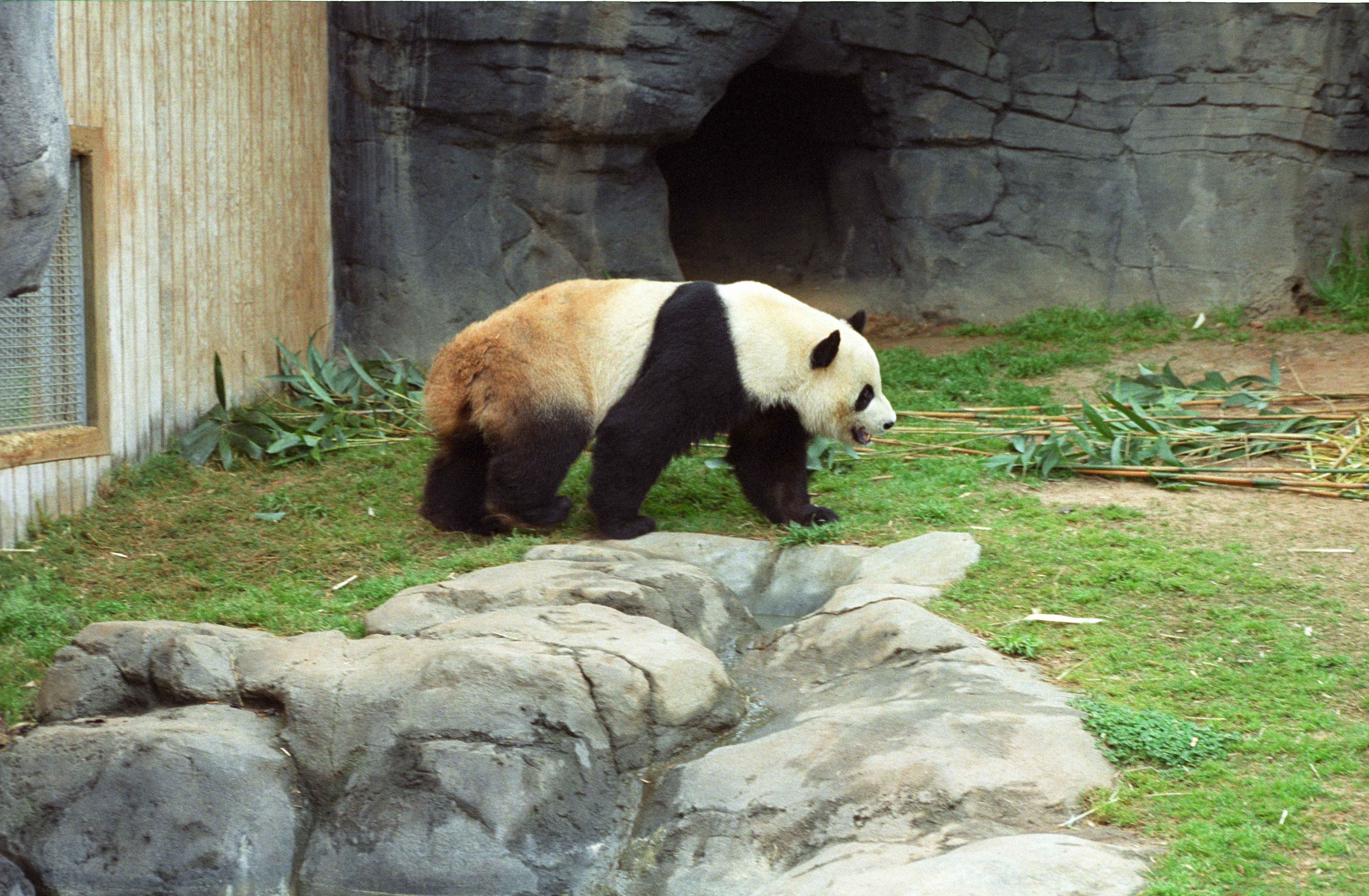 Zoo Atlanta