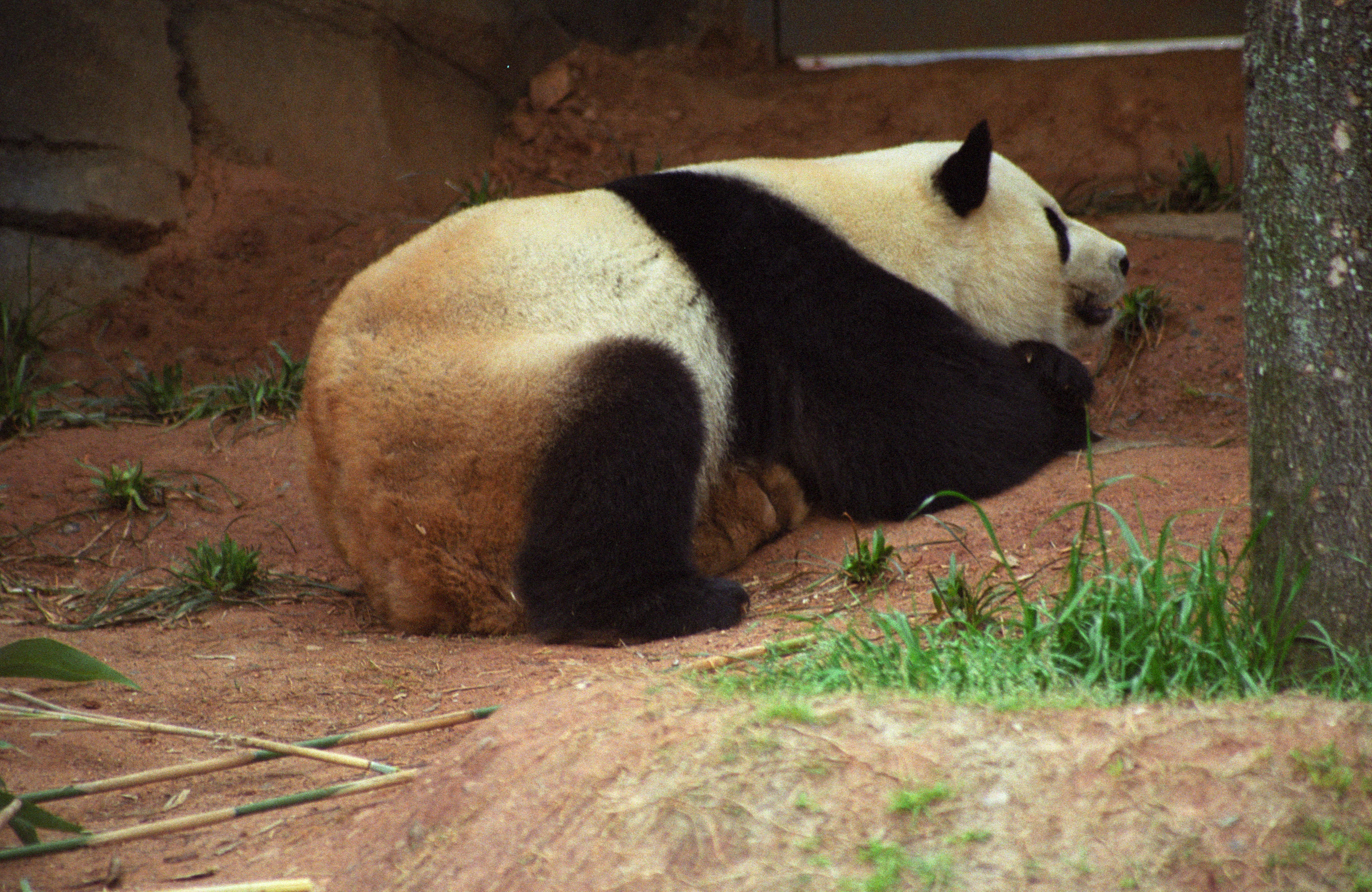 Zoo Atlanta