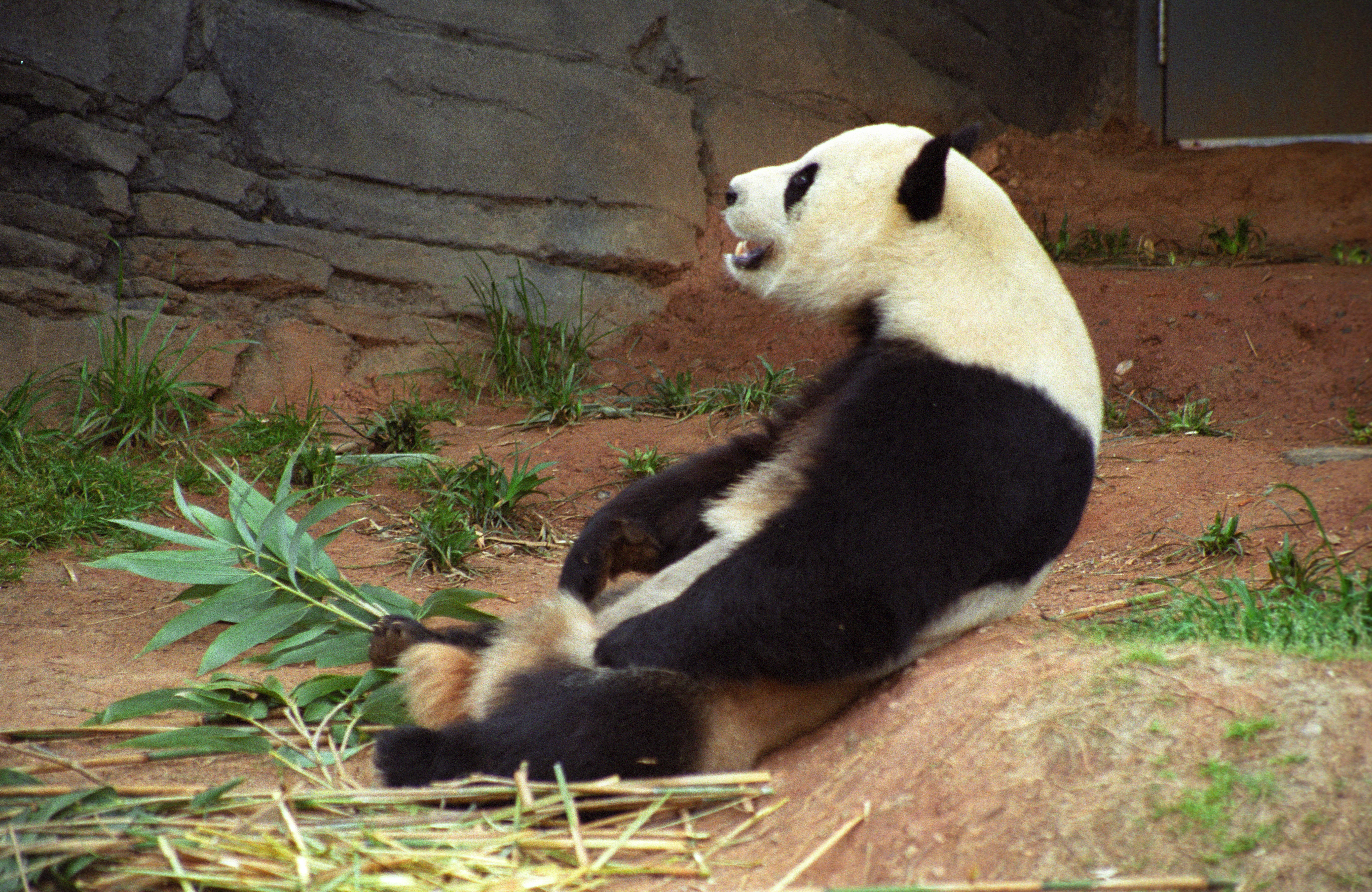 Zoo Atlanta