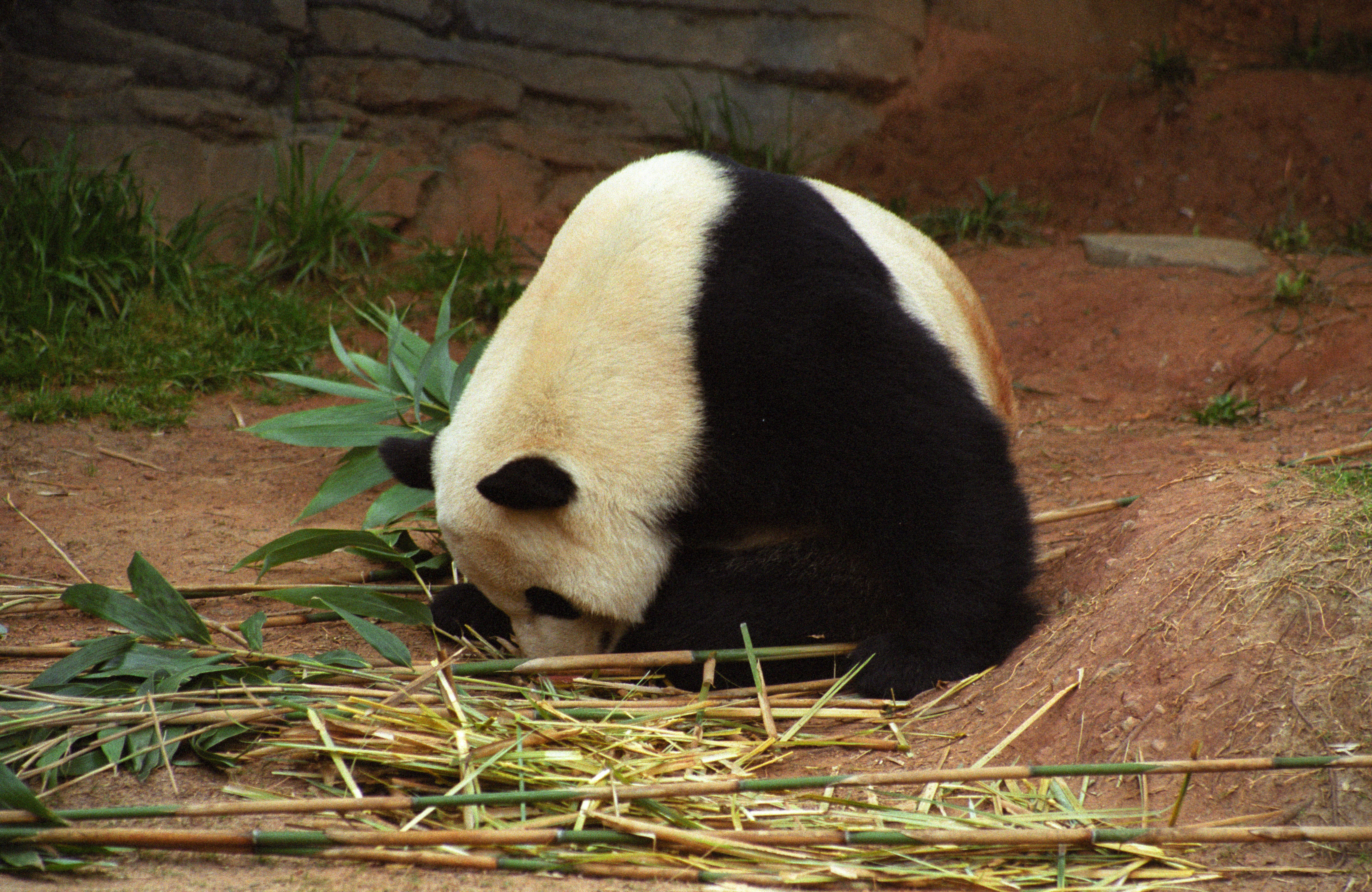 Zoo Atlanta