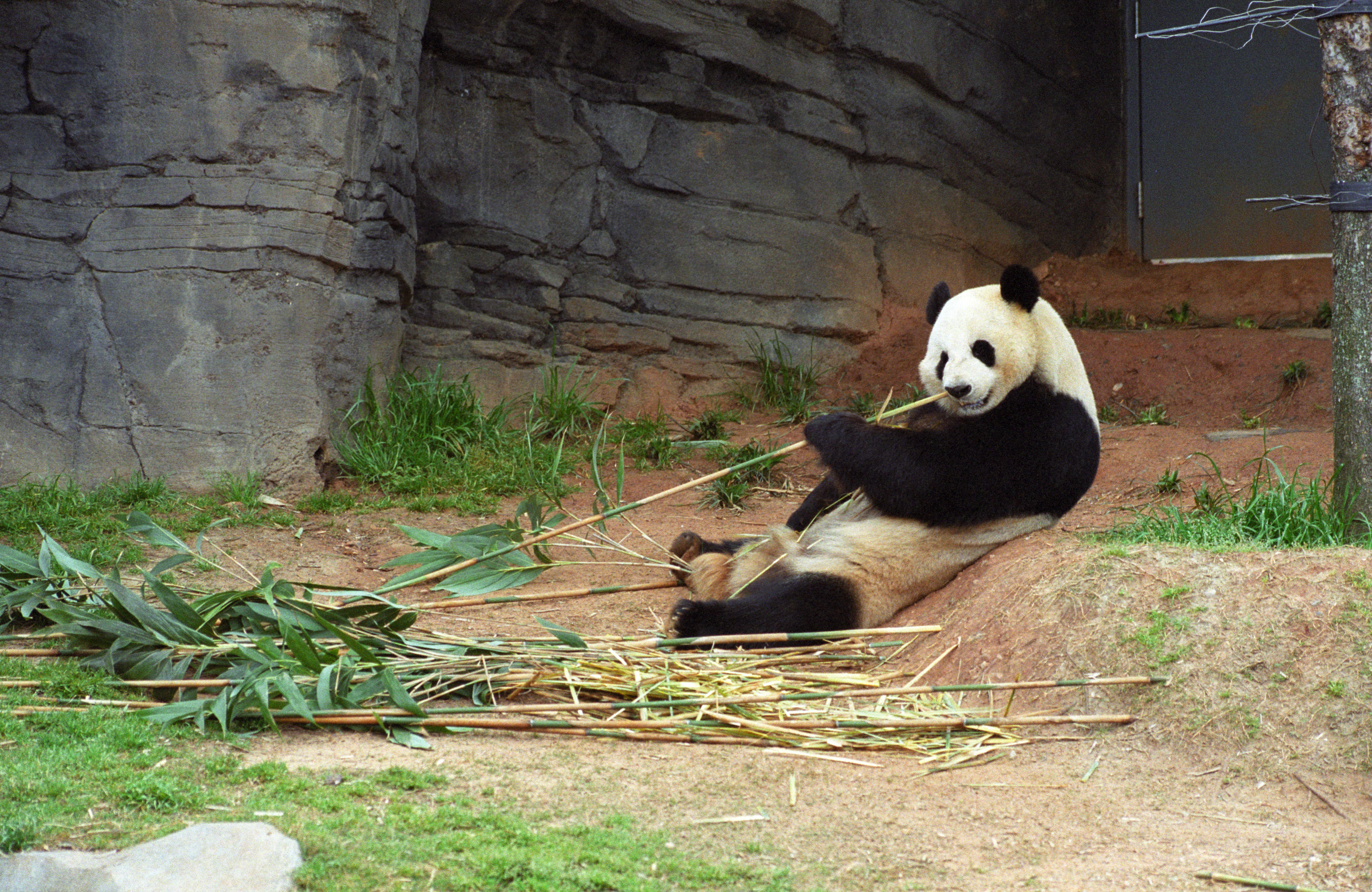Zoo Atlanta