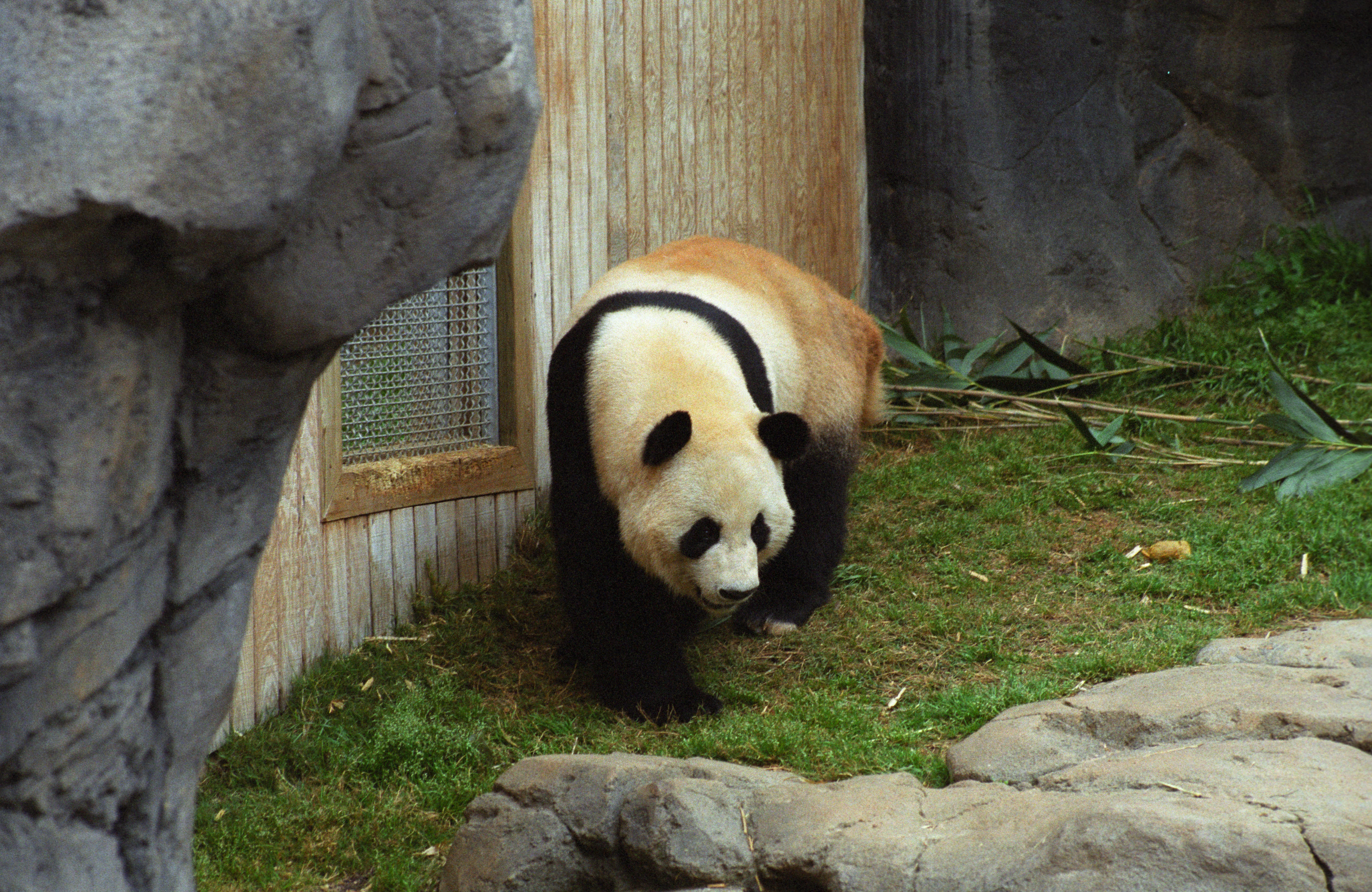 Zoo Atlanta