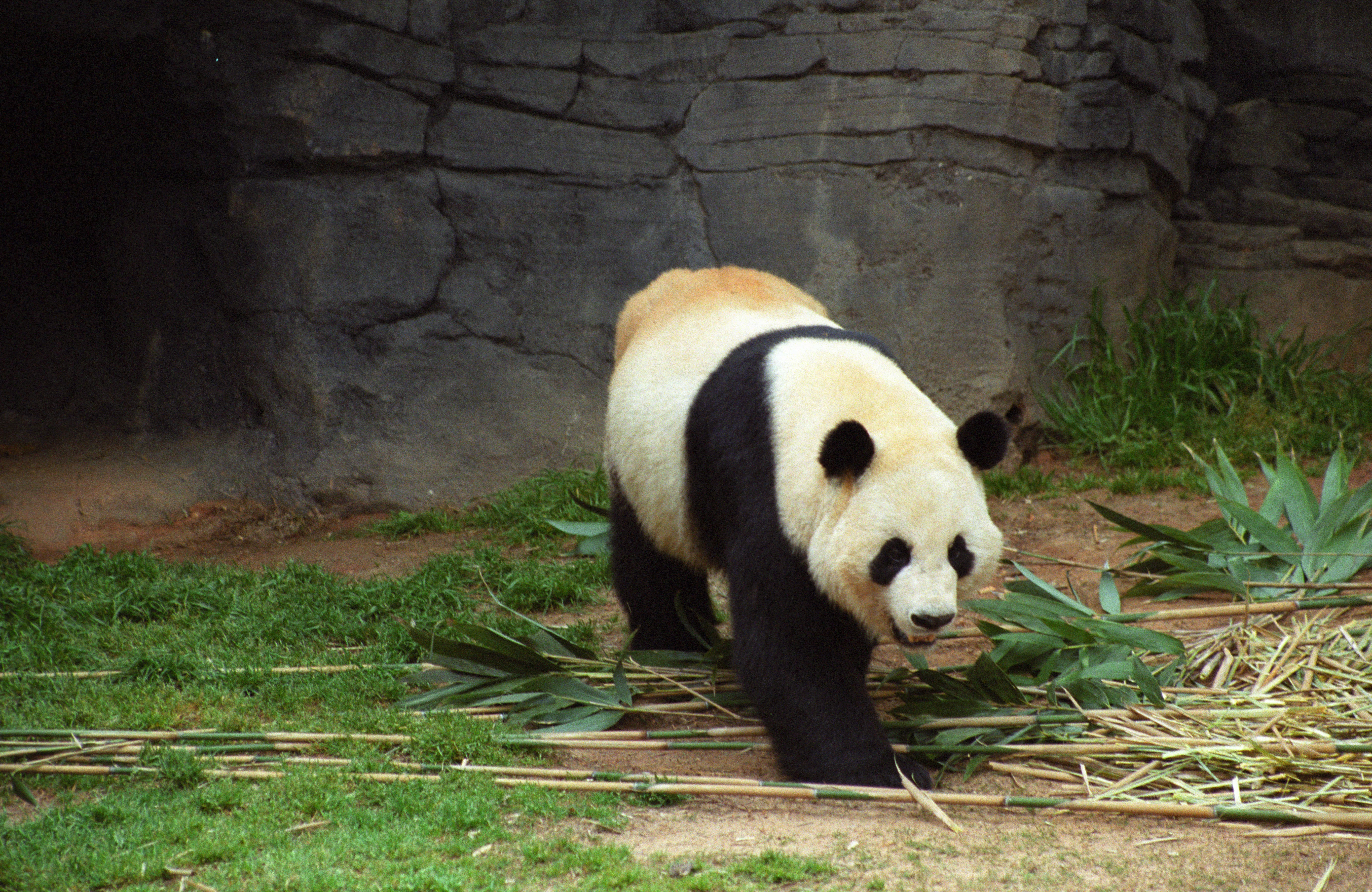 Zoo Atlanta