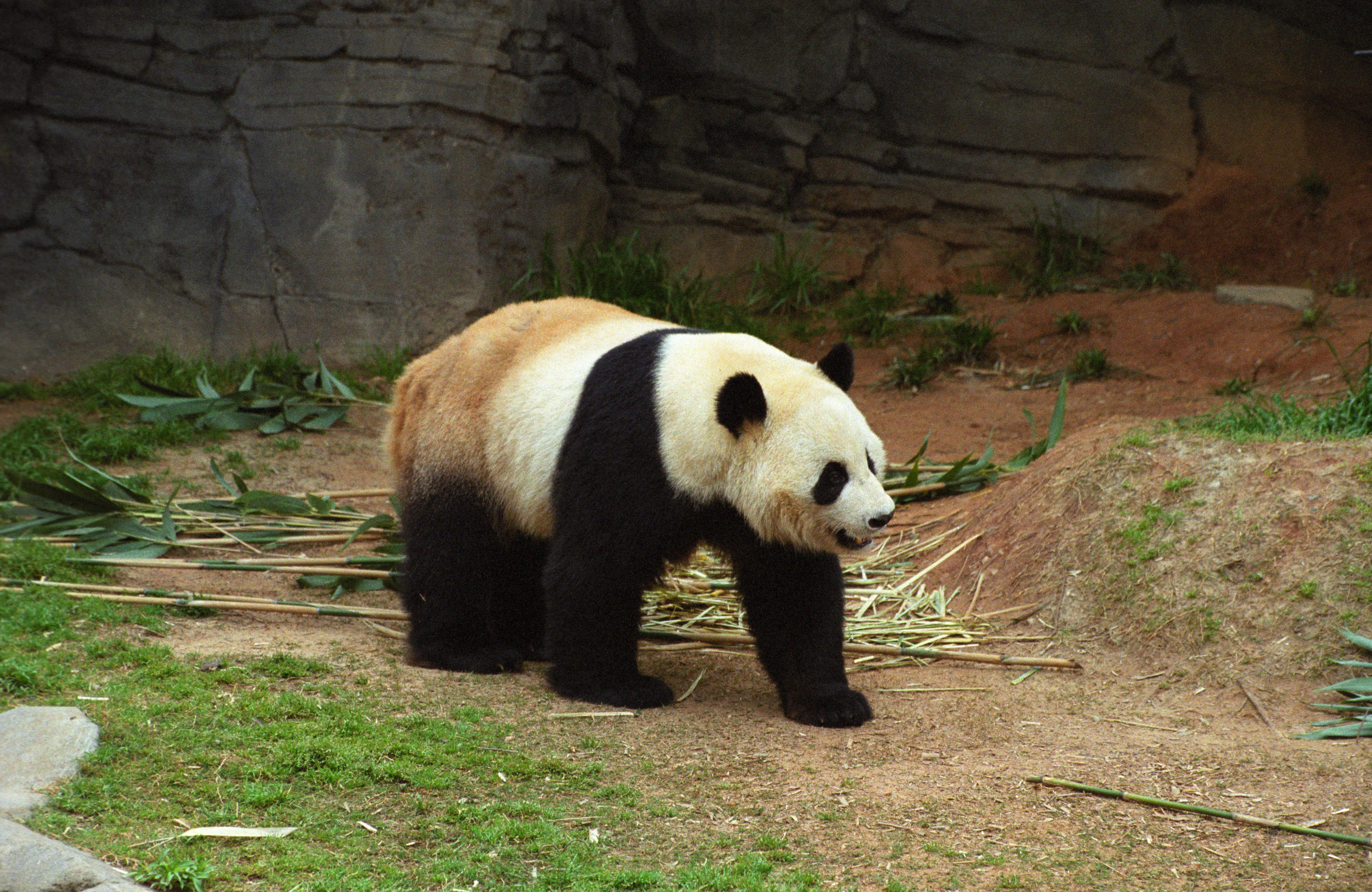 Zoo Atlanta