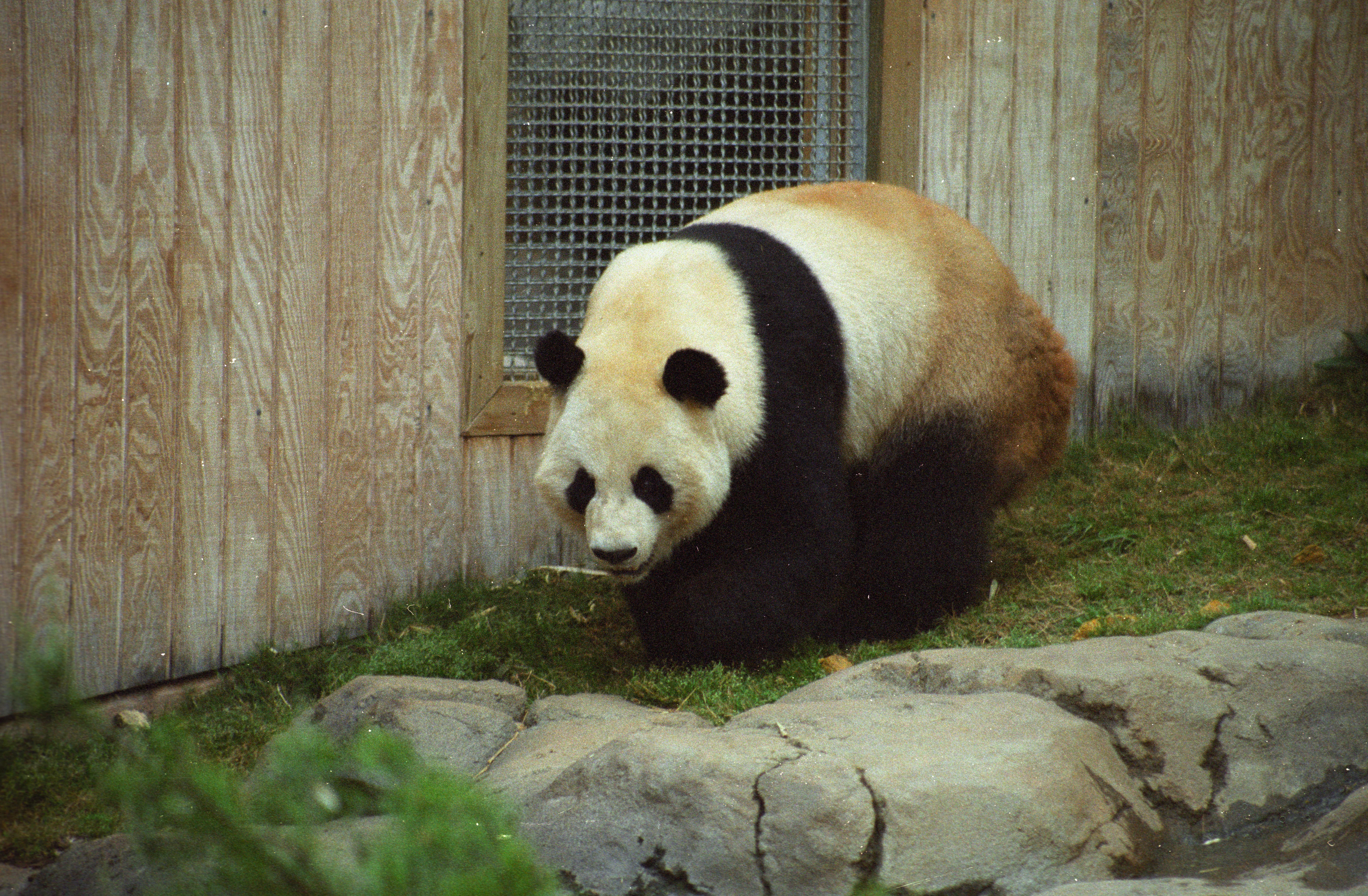 Zoo Atlanta